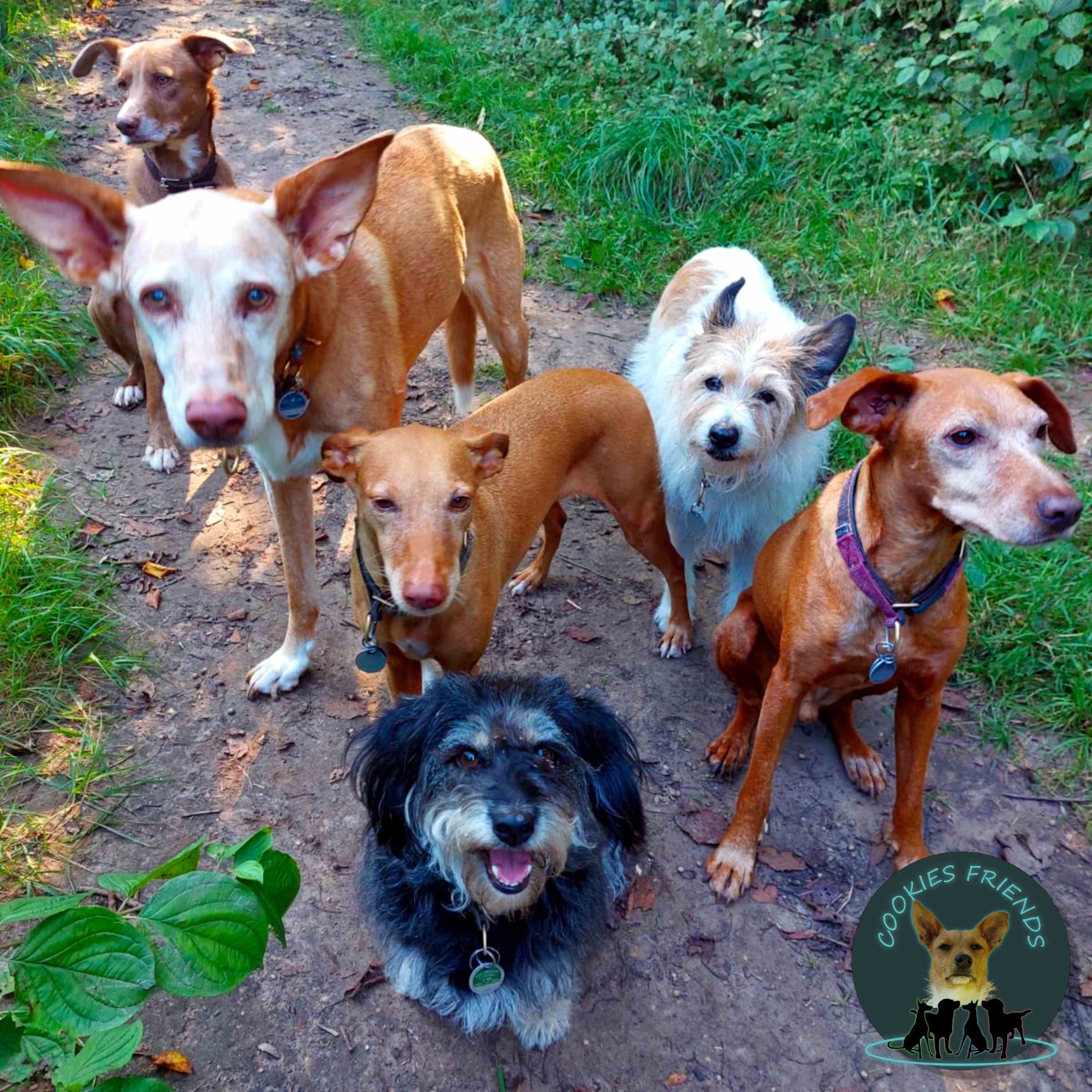 CF 31 - Nea und Hanno.