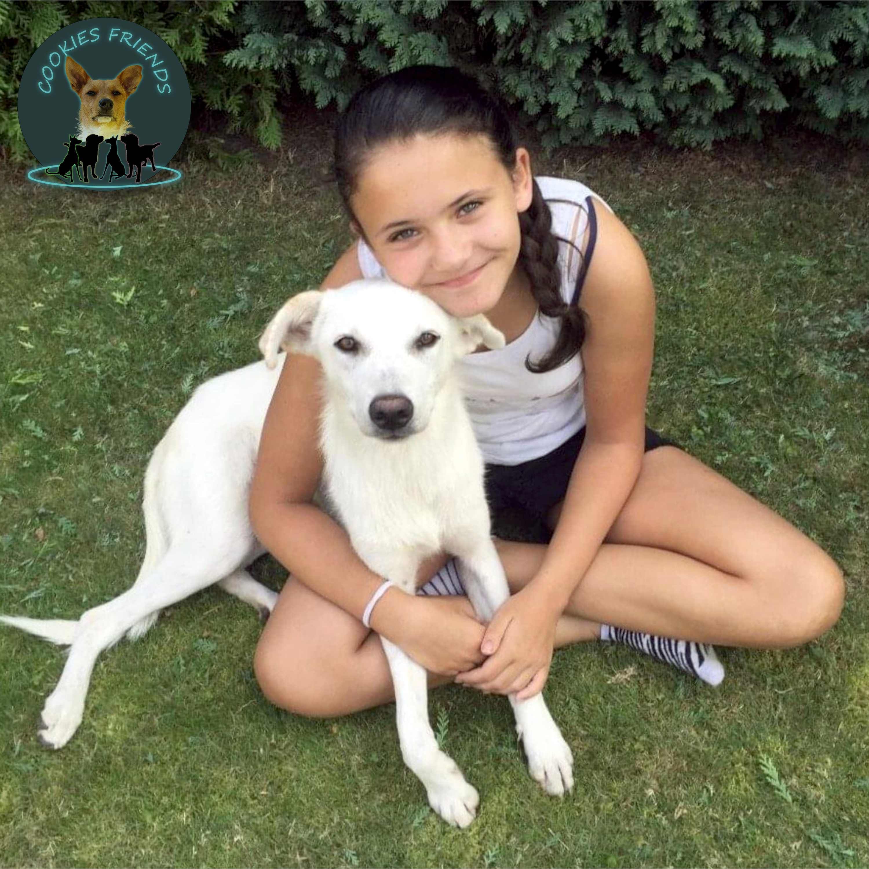 CF 38_Cheyenne mit Gatti