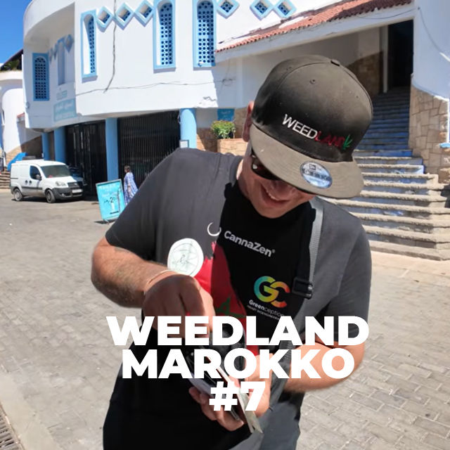 Chefchaouen & Rückreise | Abzocke & Realität | Marokko Erfahrung | Weedland Marokko #7