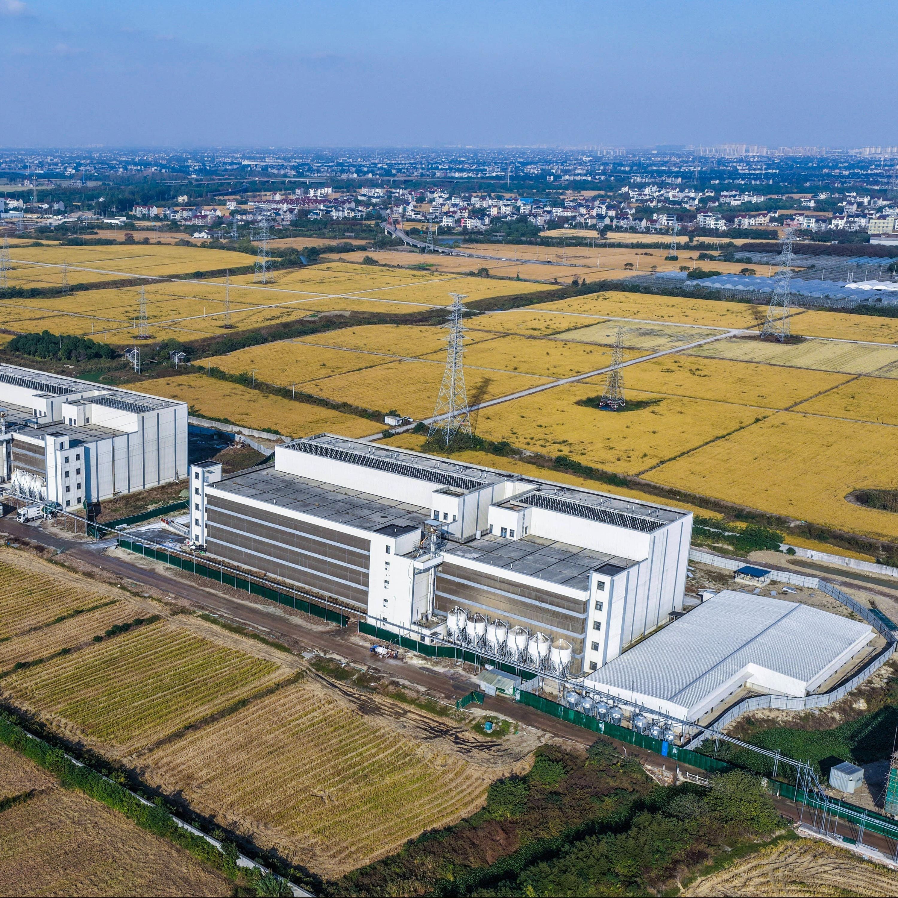 China züchtet Schweine in Hochhäusern