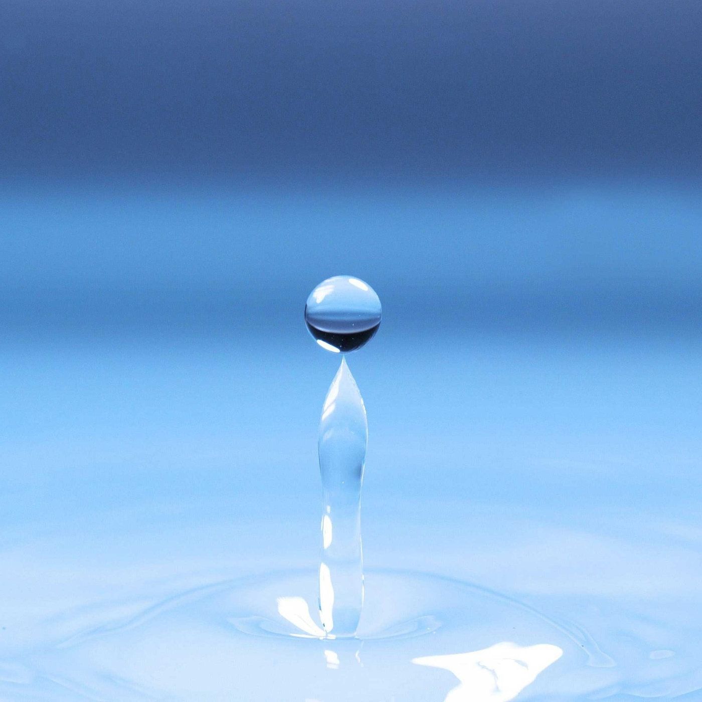 Christiane Woopen: Ethik des Lebens