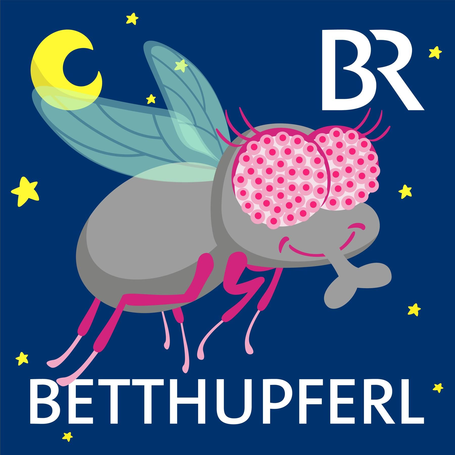 Christine, die schwäbische Stubenfliege: Habergaukl | Gute Nacht-Geschichte ab 5 Jahren / Mundart Schwaben