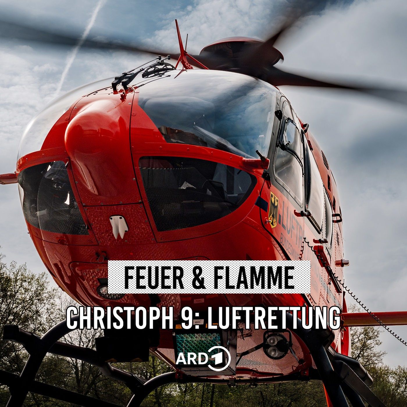 Christoph 9: Lebensretter in der Luft