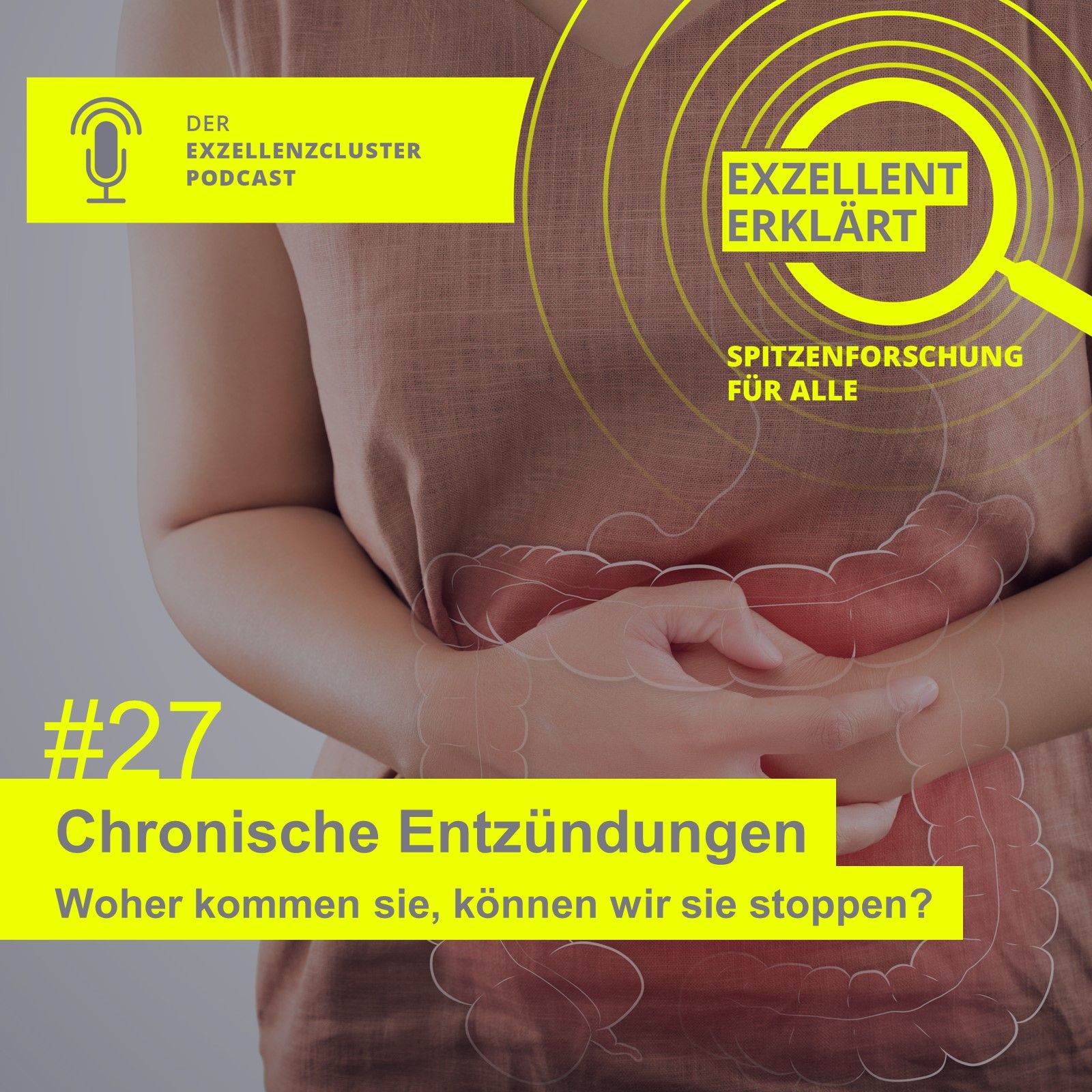 Chronische Entzündungen – Woher kommen sie, können wir sie stoppen?