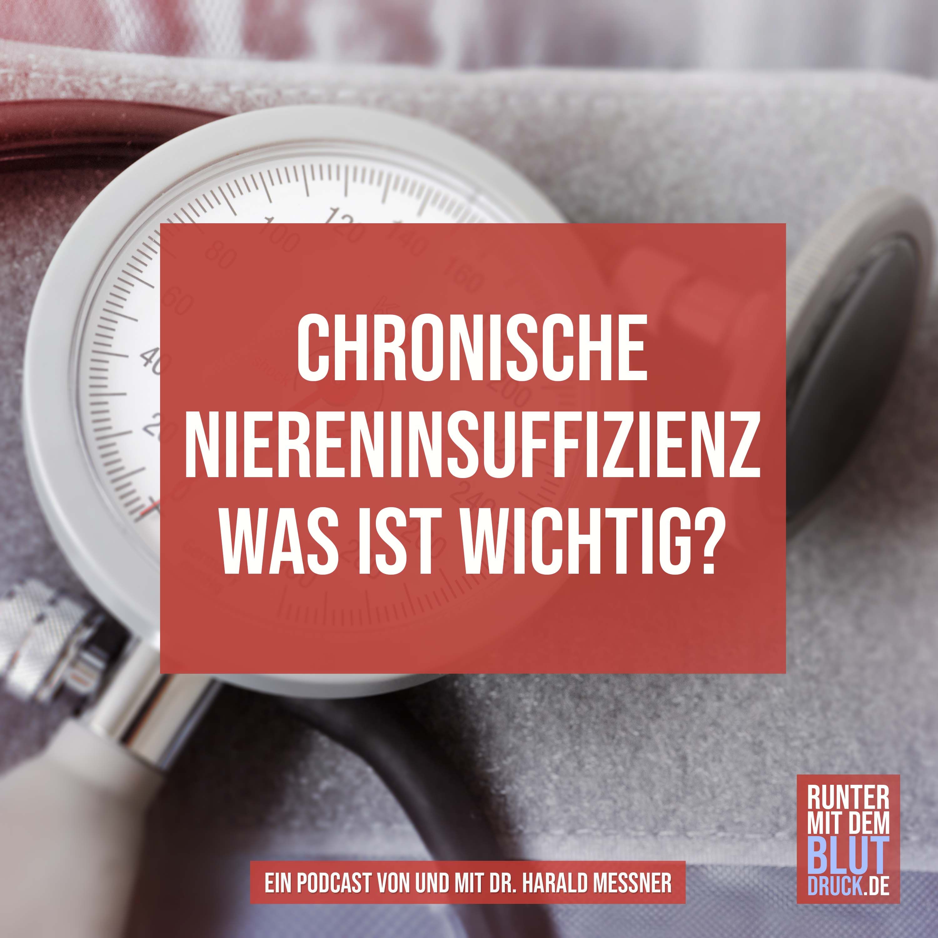 Chronische Niereninsuffizienz: was ist wichtig?
