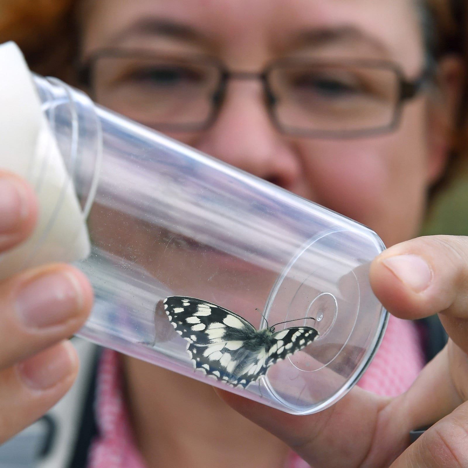 Citizen-Science: Wie Hobbyforscher die Wissenschaft voranbringen