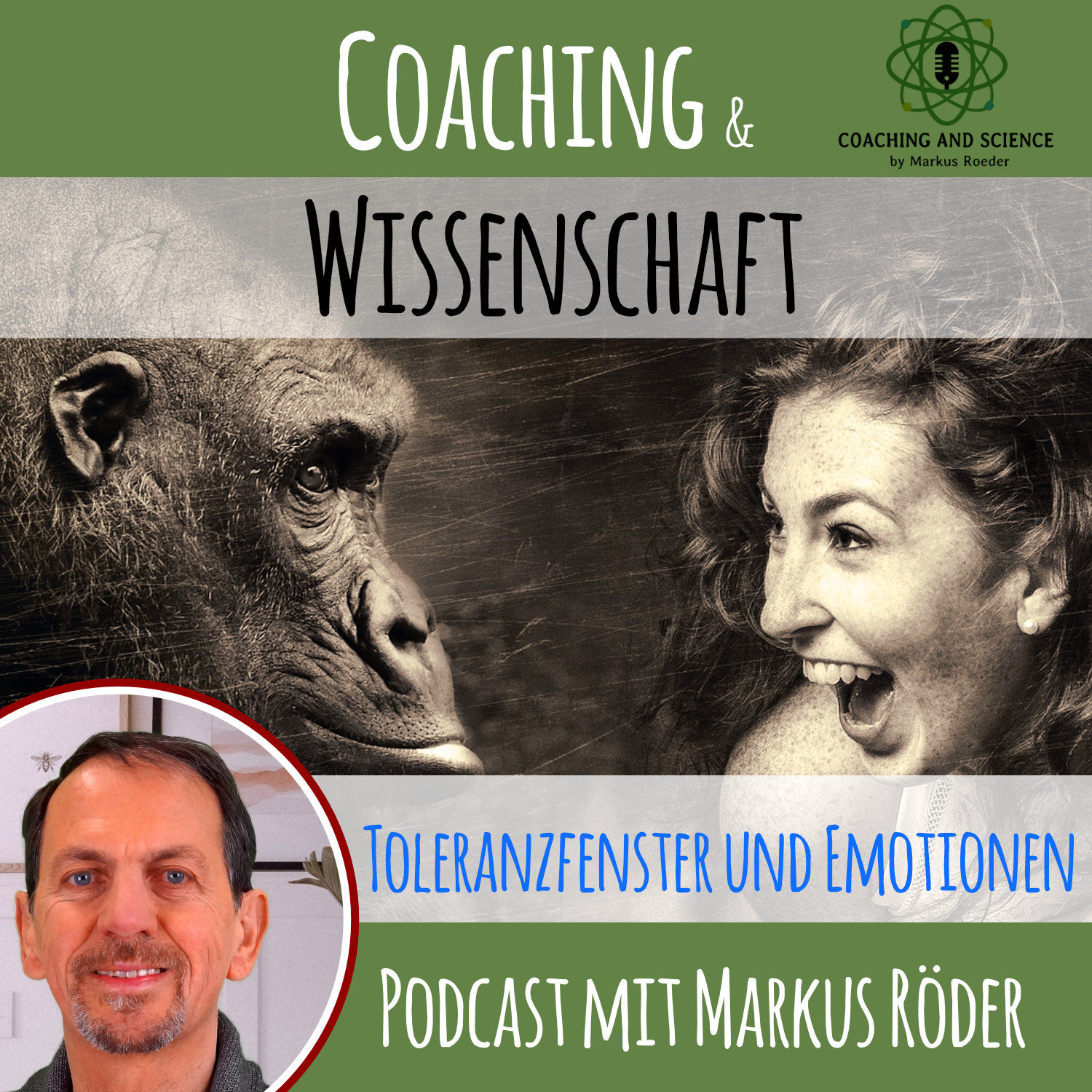 Coaching im Umfeld traumatischer Emotionen