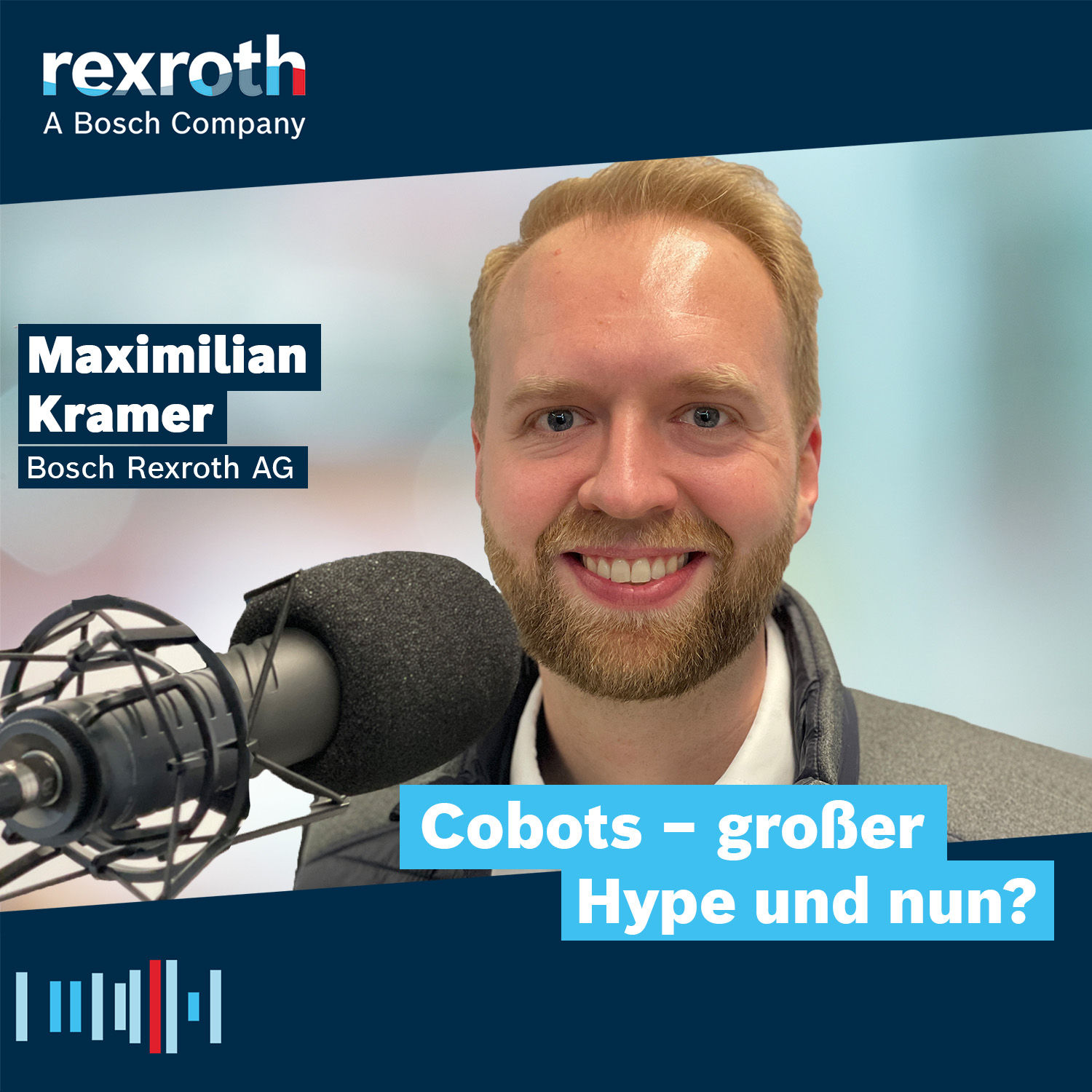 Cobots – großer Hype und nun?