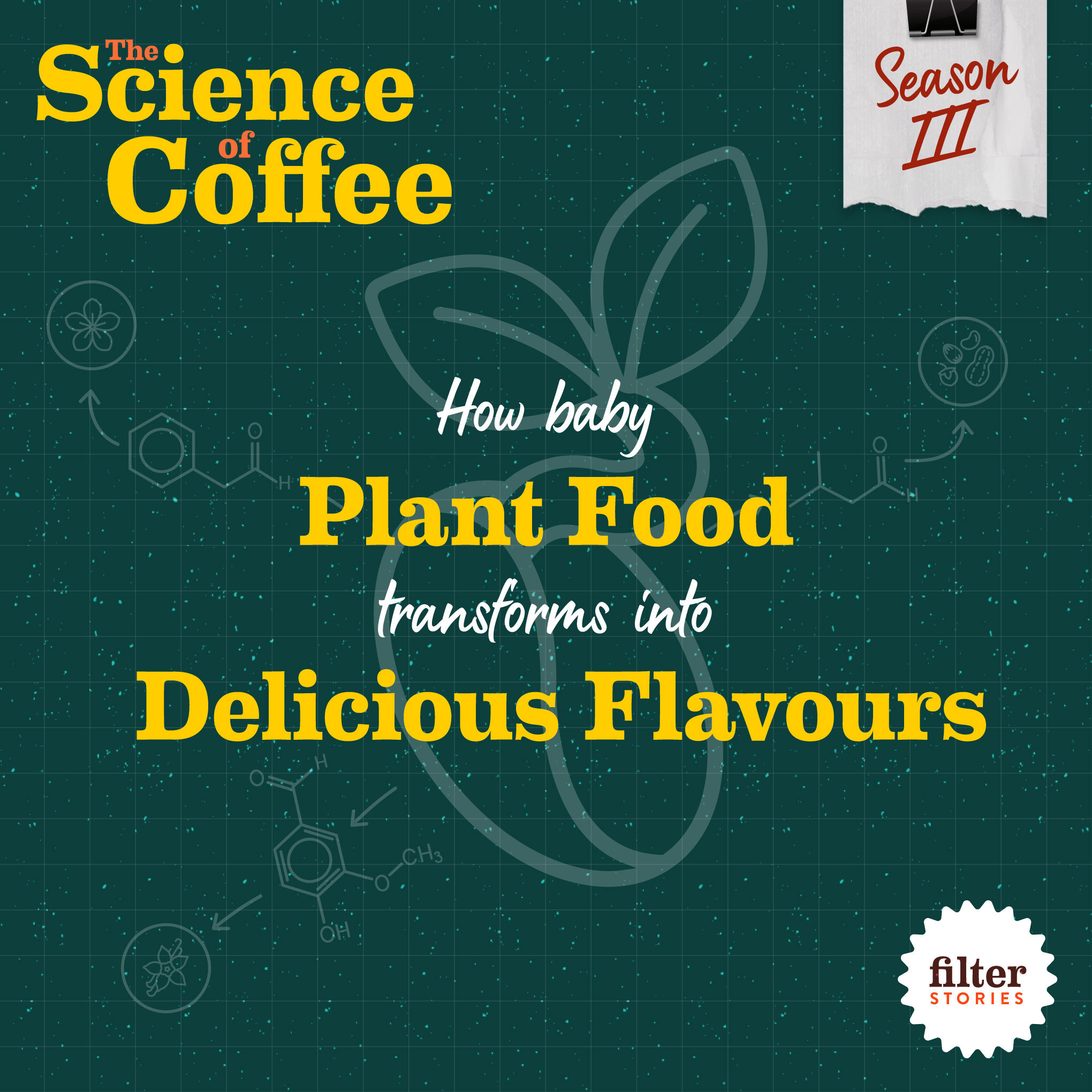 Coffee Roasting: How baby plant food transforms into delicious coffee flavours