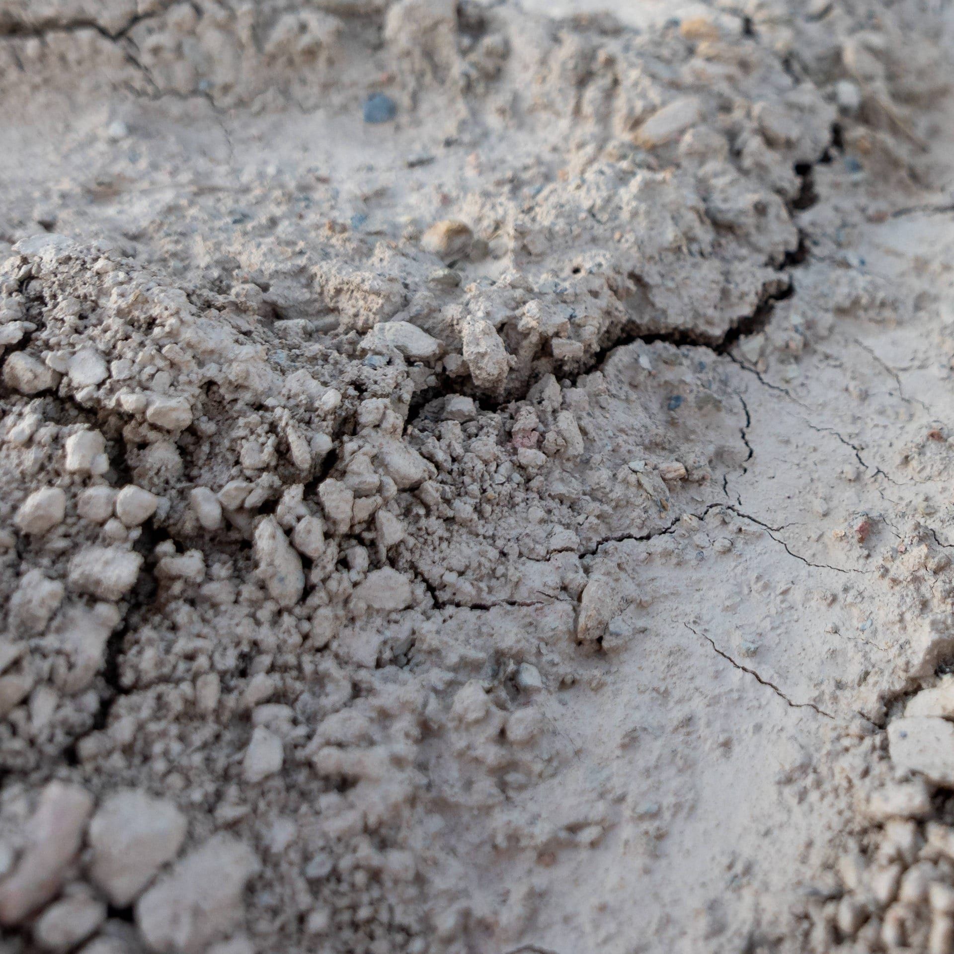 COP 30- Deutschland sagt 60 Millionen für Anpassungsfonds zu