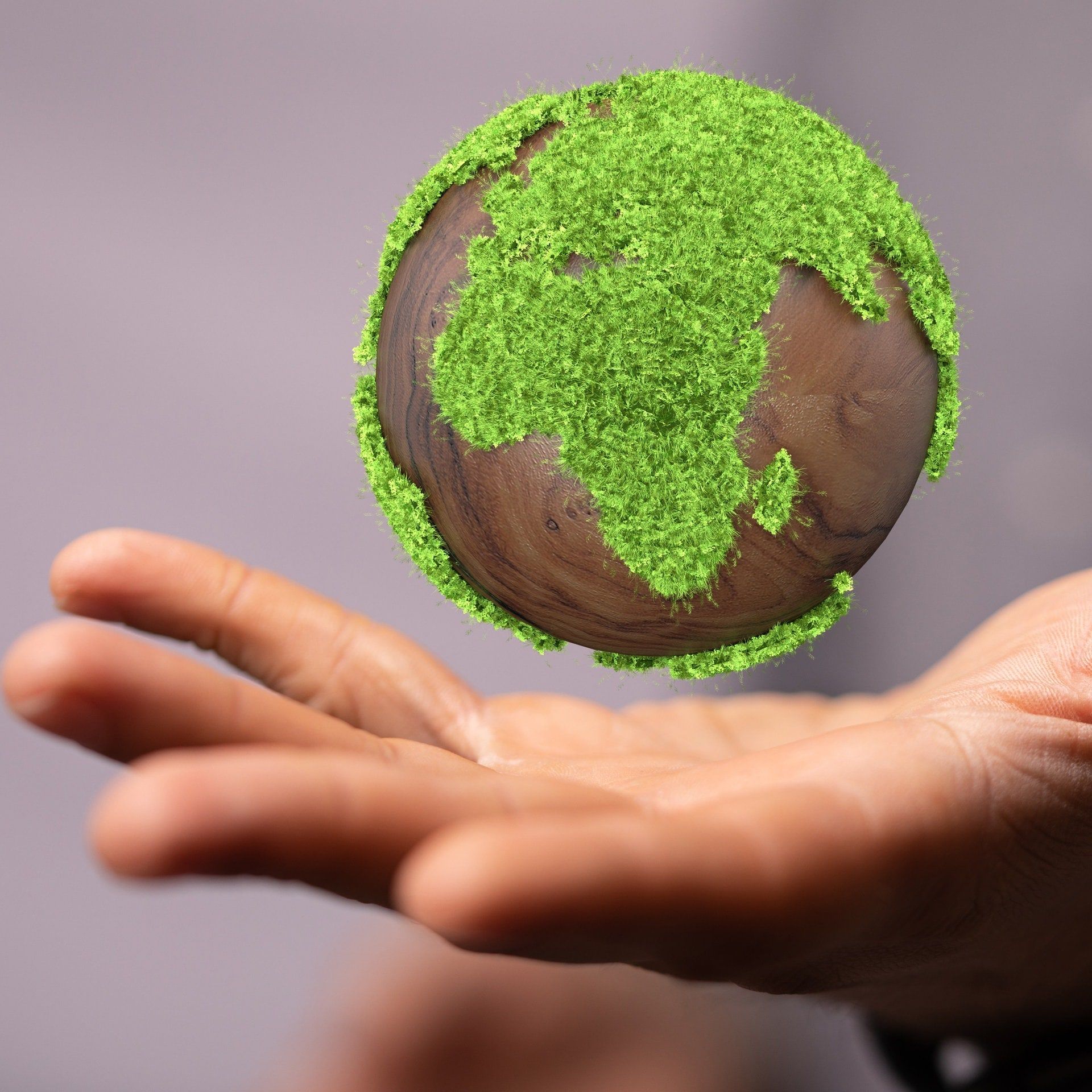 COP30 im Regenwald – Geht dem Klimaschutz die Luft aus?