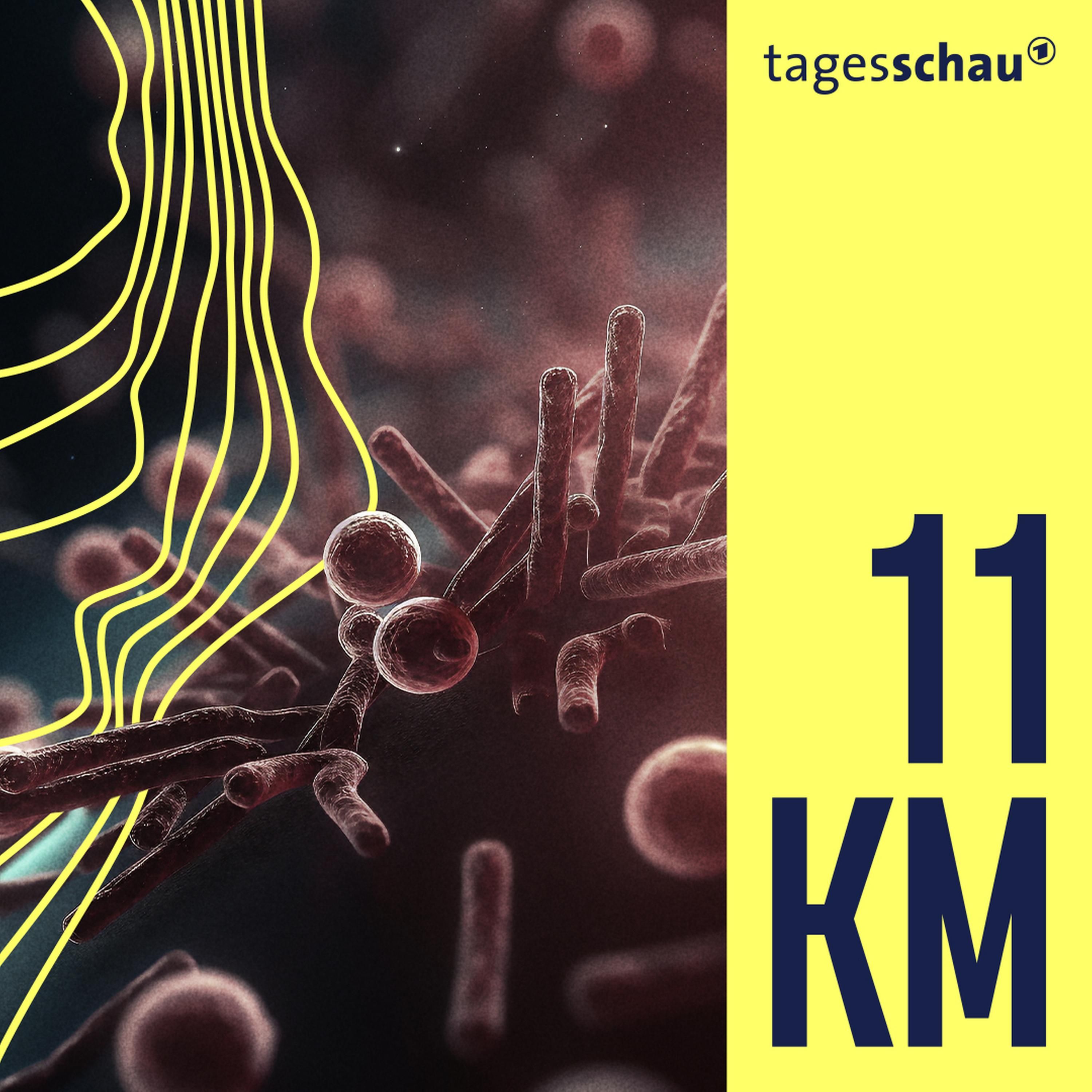 Corona: Nerv' nicht!