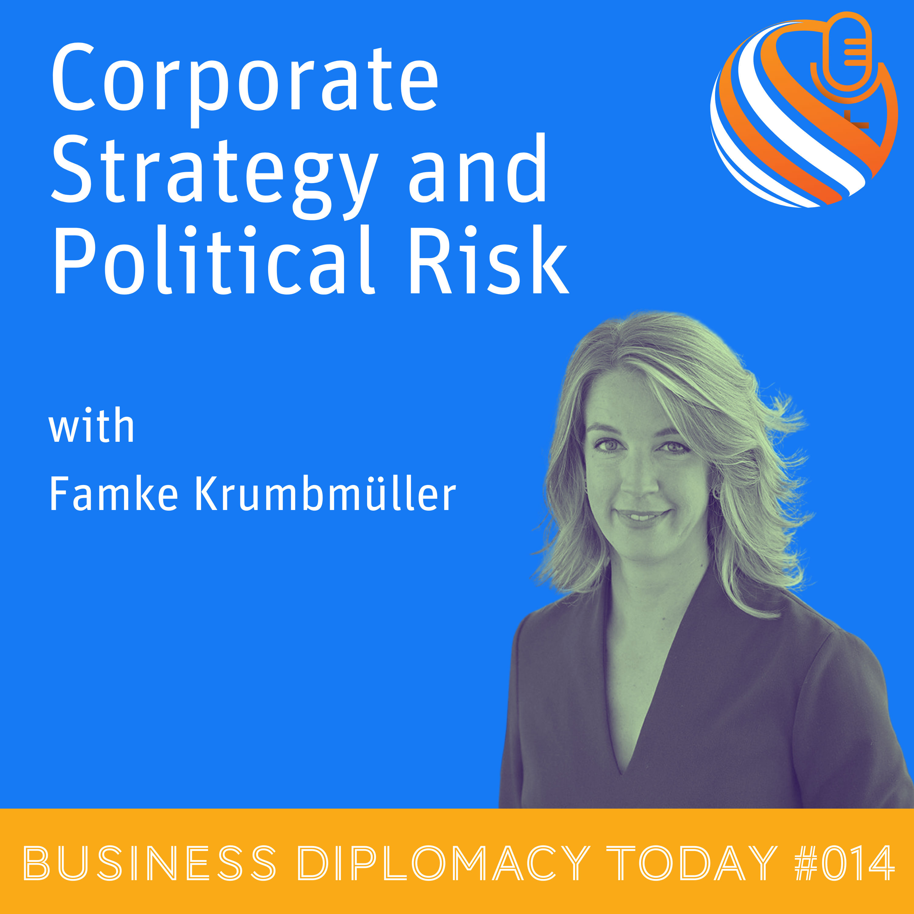 Corporate Strategy and Political Risk