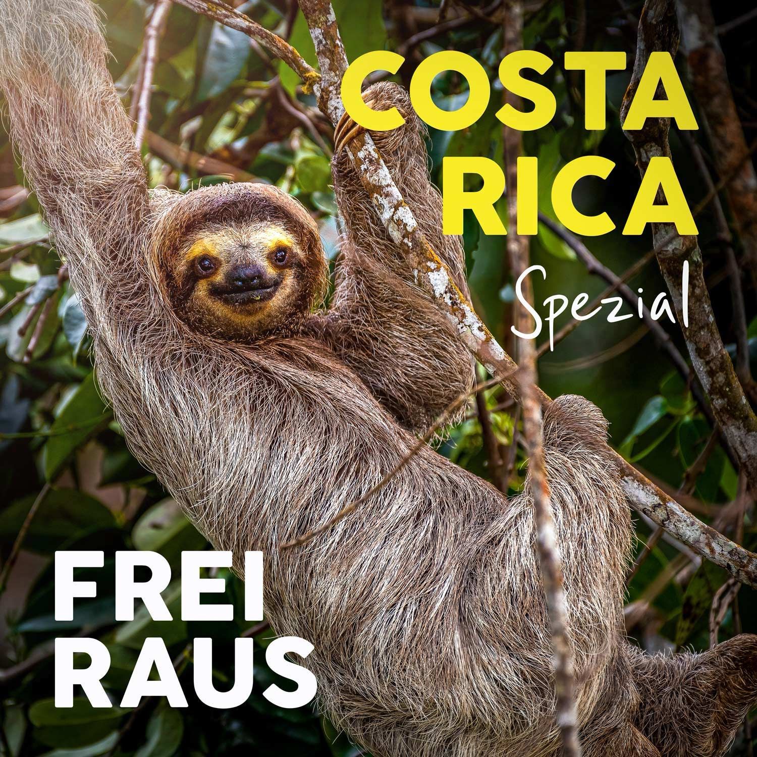 Costa Rica Spezial – Faultiere in Sicht und der blaue Fluss im Dschungel