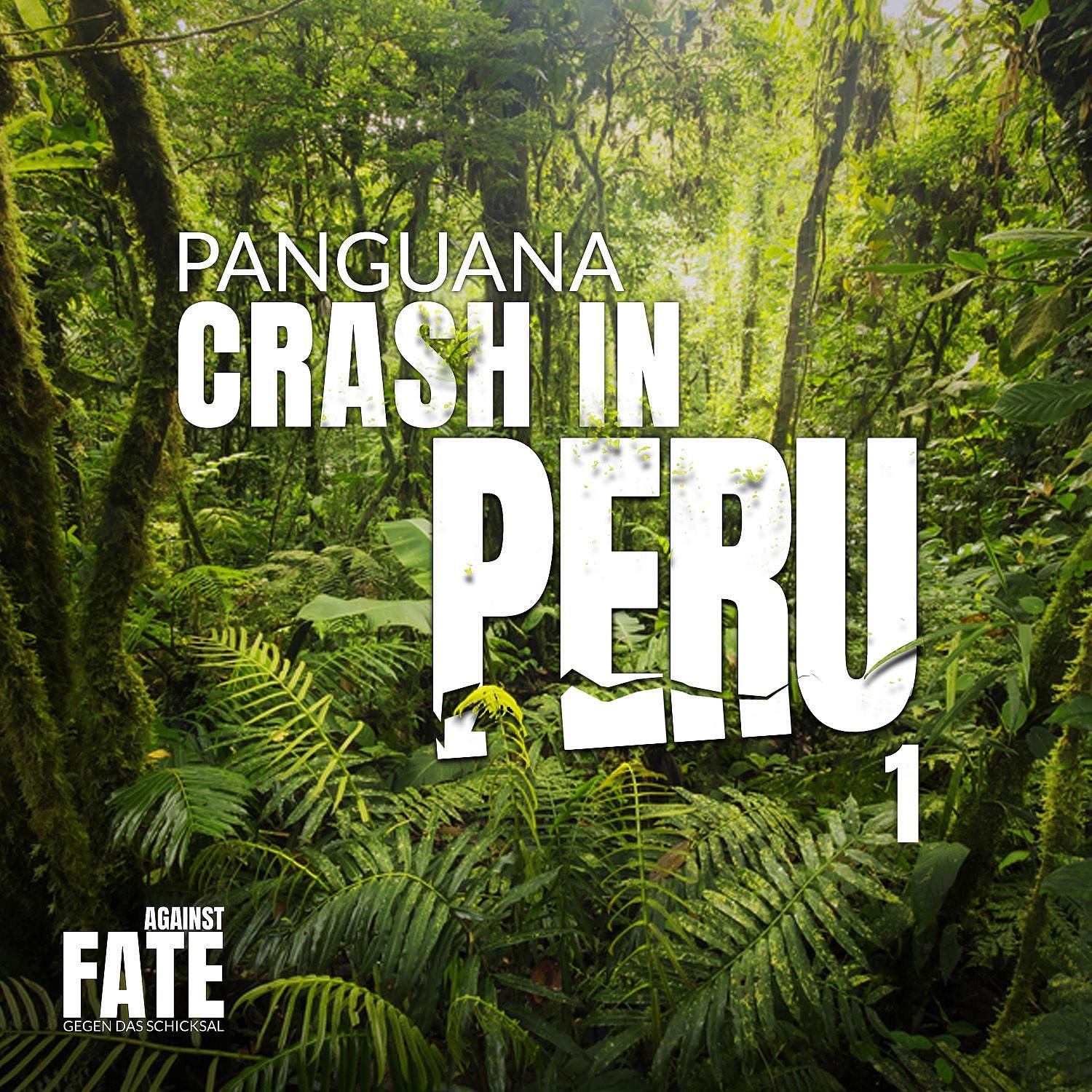 Crash in Peru 1: Panguana