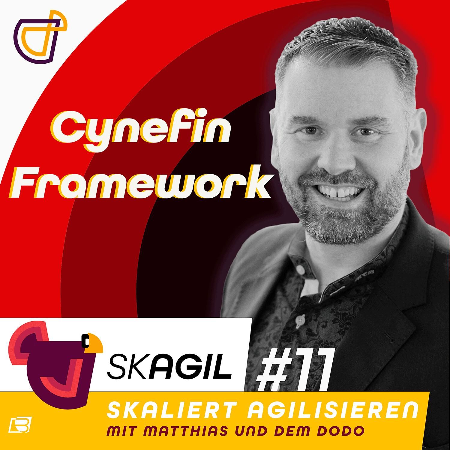 Cynefin Framework - Situationsbezogene Entscheidungshilfe
