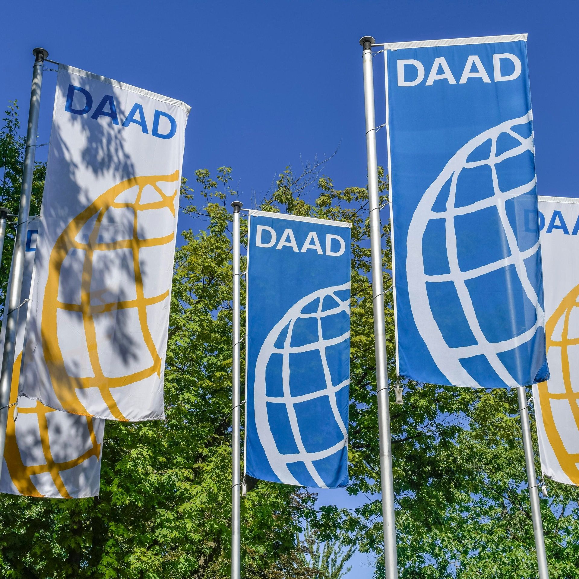 DAAD stellt Arbeit in Russland ein: mit welchen Folgen?