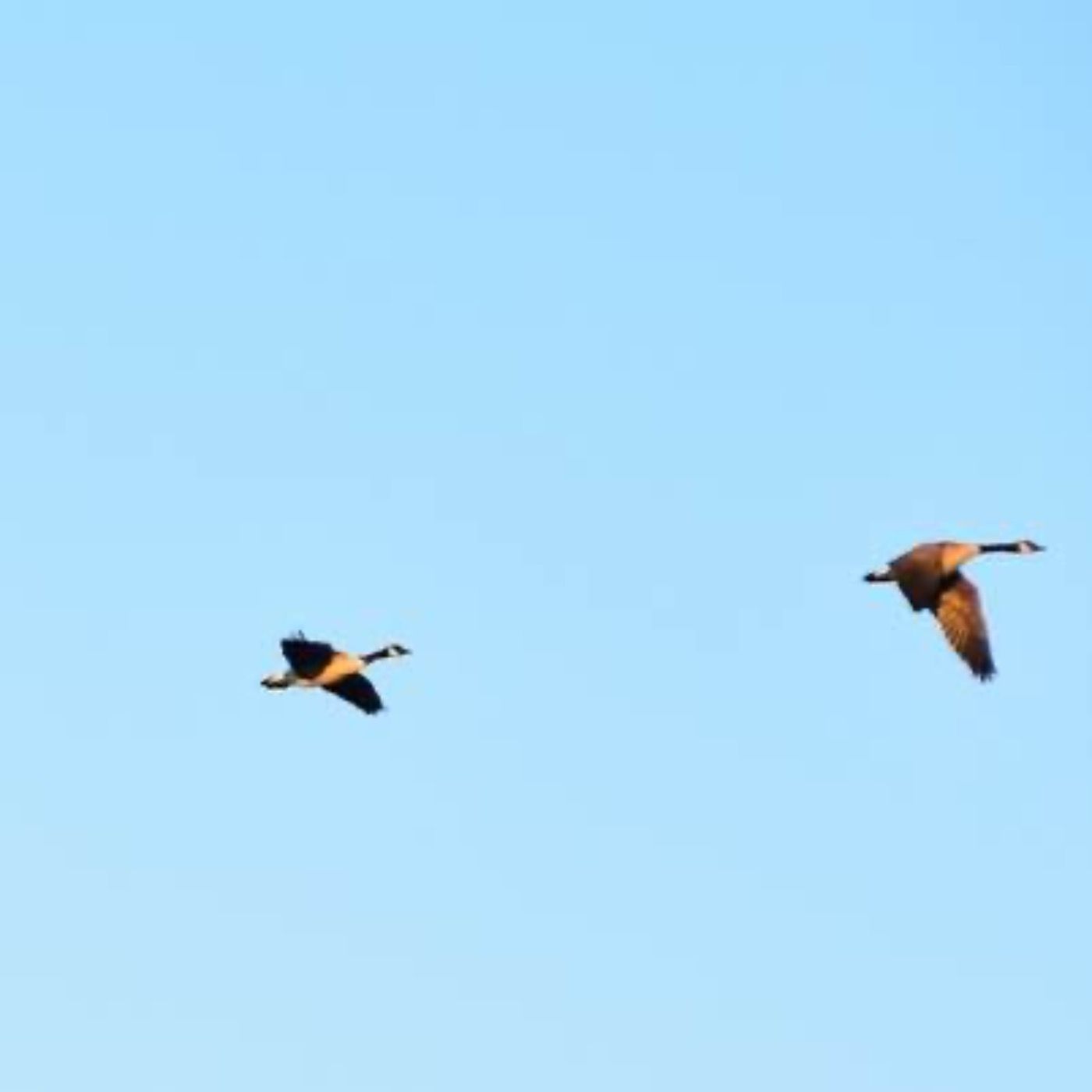 DaMudM106: Lass uns fliegen - aber wohin?