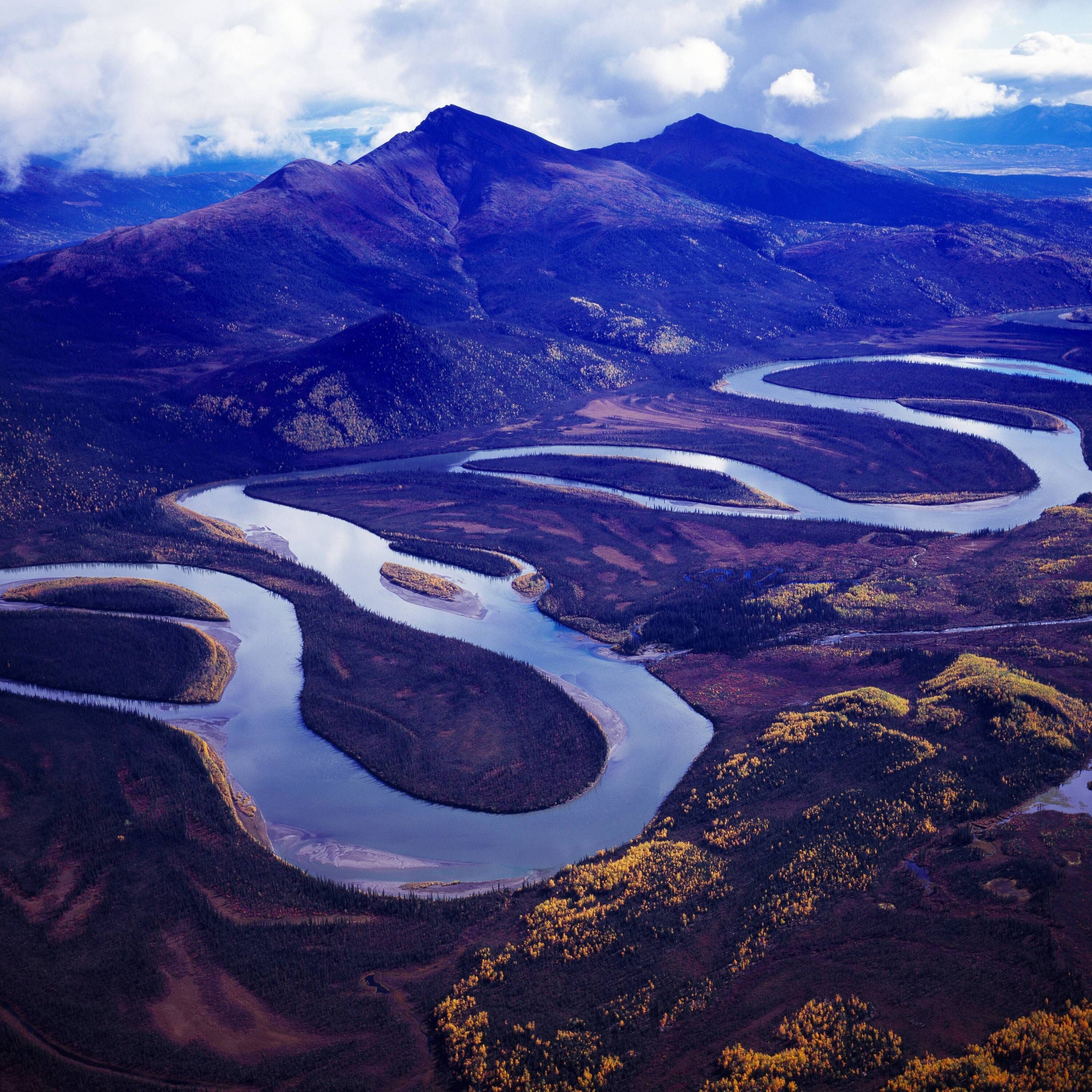 Darum baut Trump eine Megastraße in die unberührte Wildnis