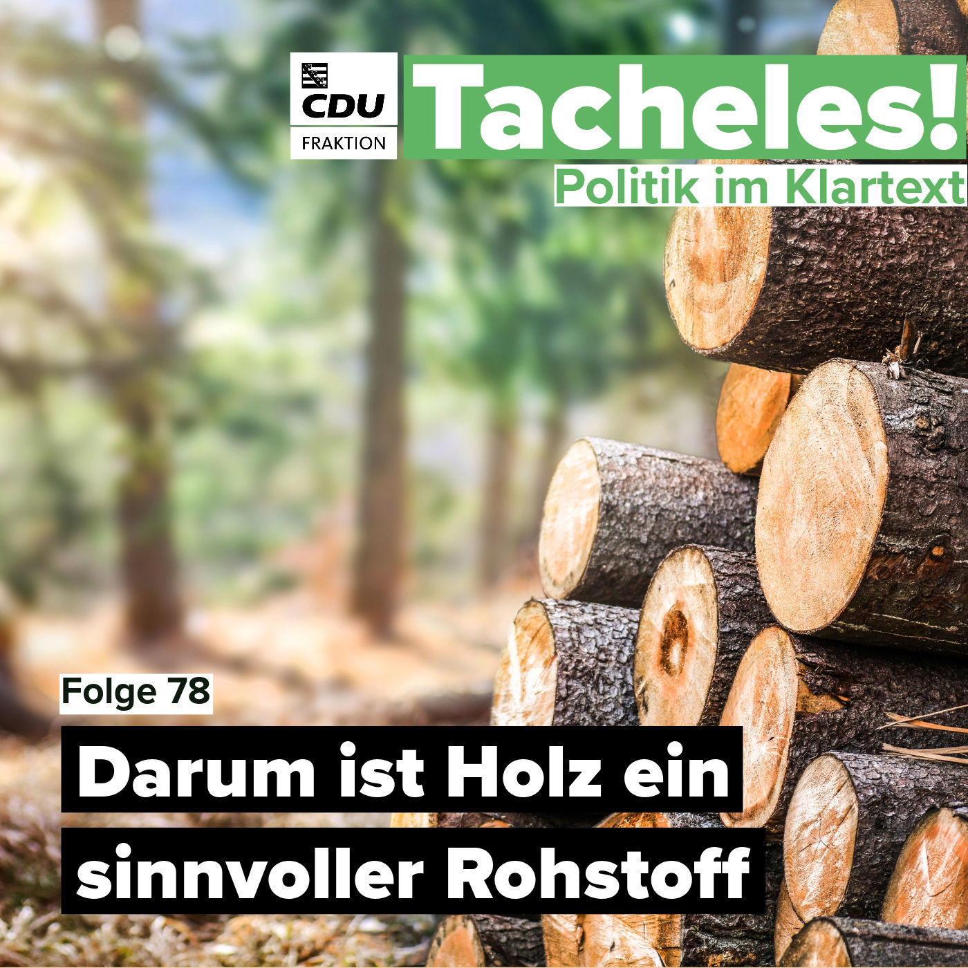 Darum ist Holz ein sinnvoller Rohstoff