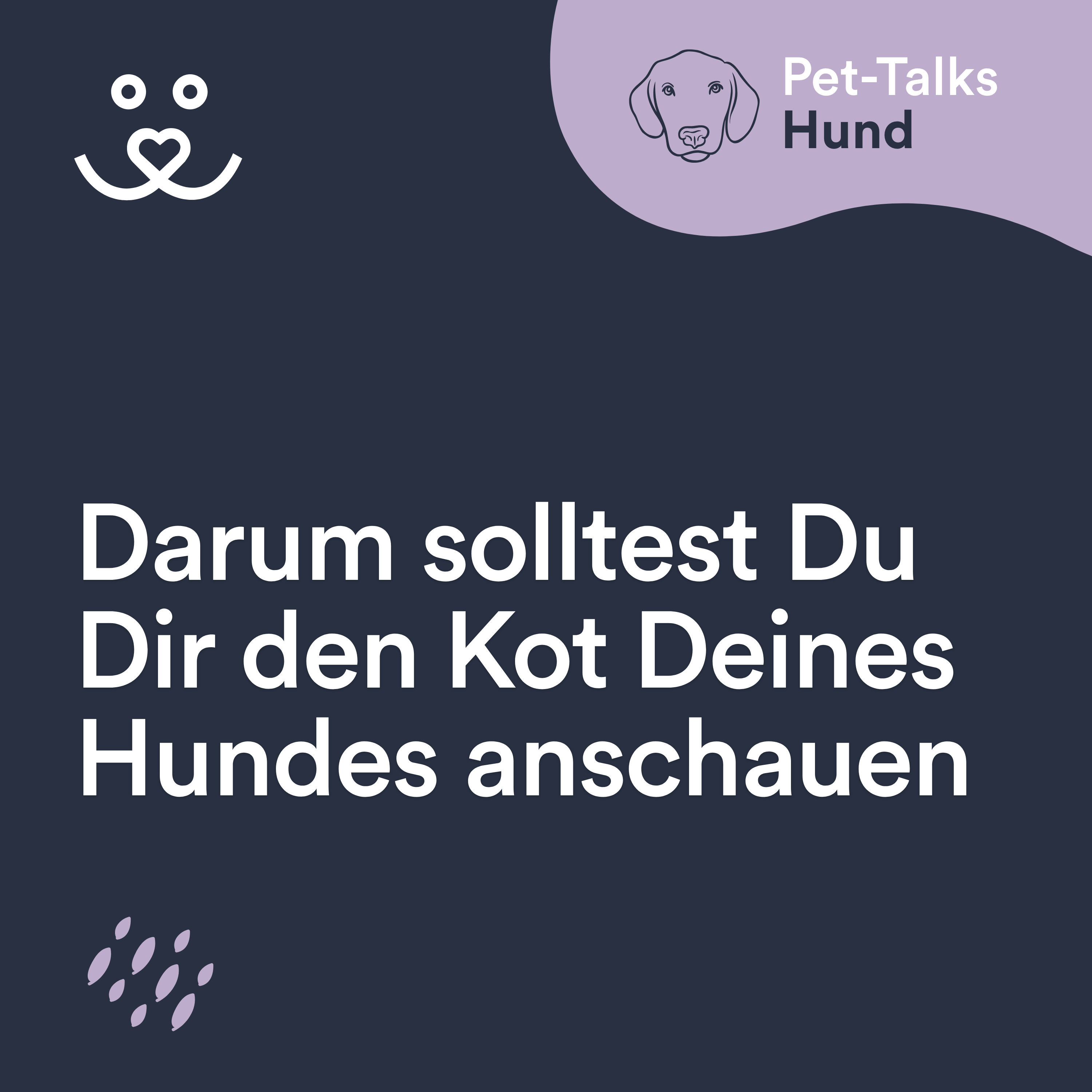 Darum solltest Du Dir den Kot Deines Hundes regelmäßig anschauen