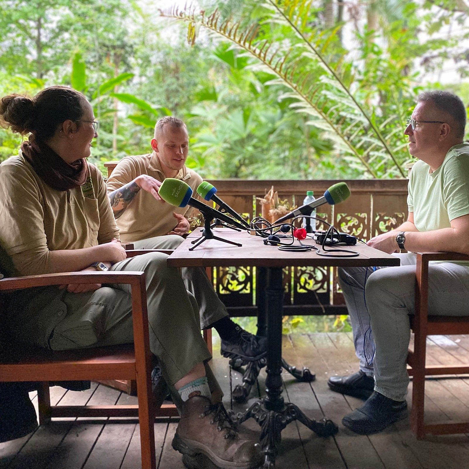 Das Bronzesultanshuhn