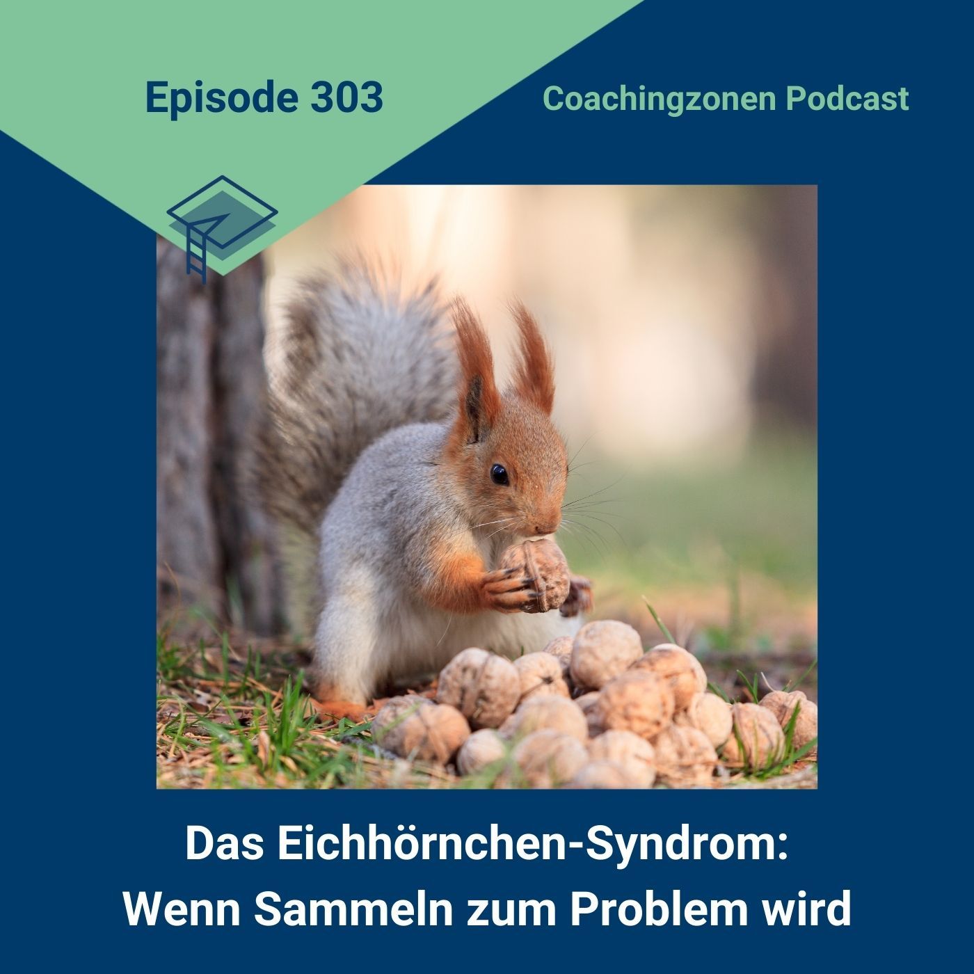 Das Eichhörnchen-Syndrom: Wenn Sammeln zum Problem wird