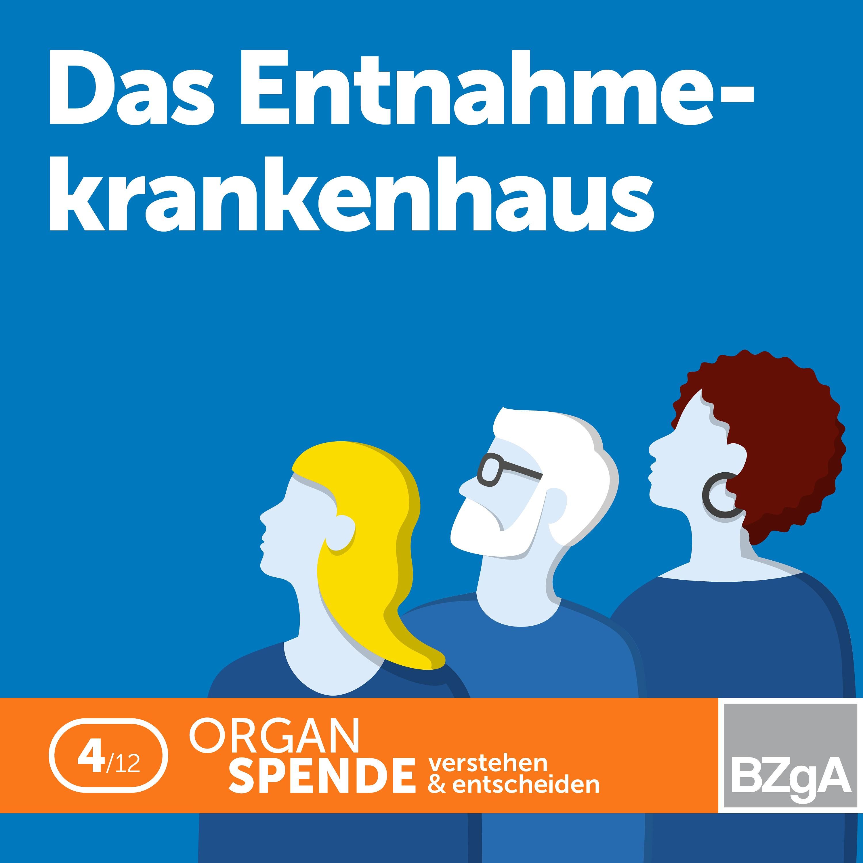 Das Entnahmekrankenhaus - Aufgaben und Rollen der Transplantationsbeauftragten