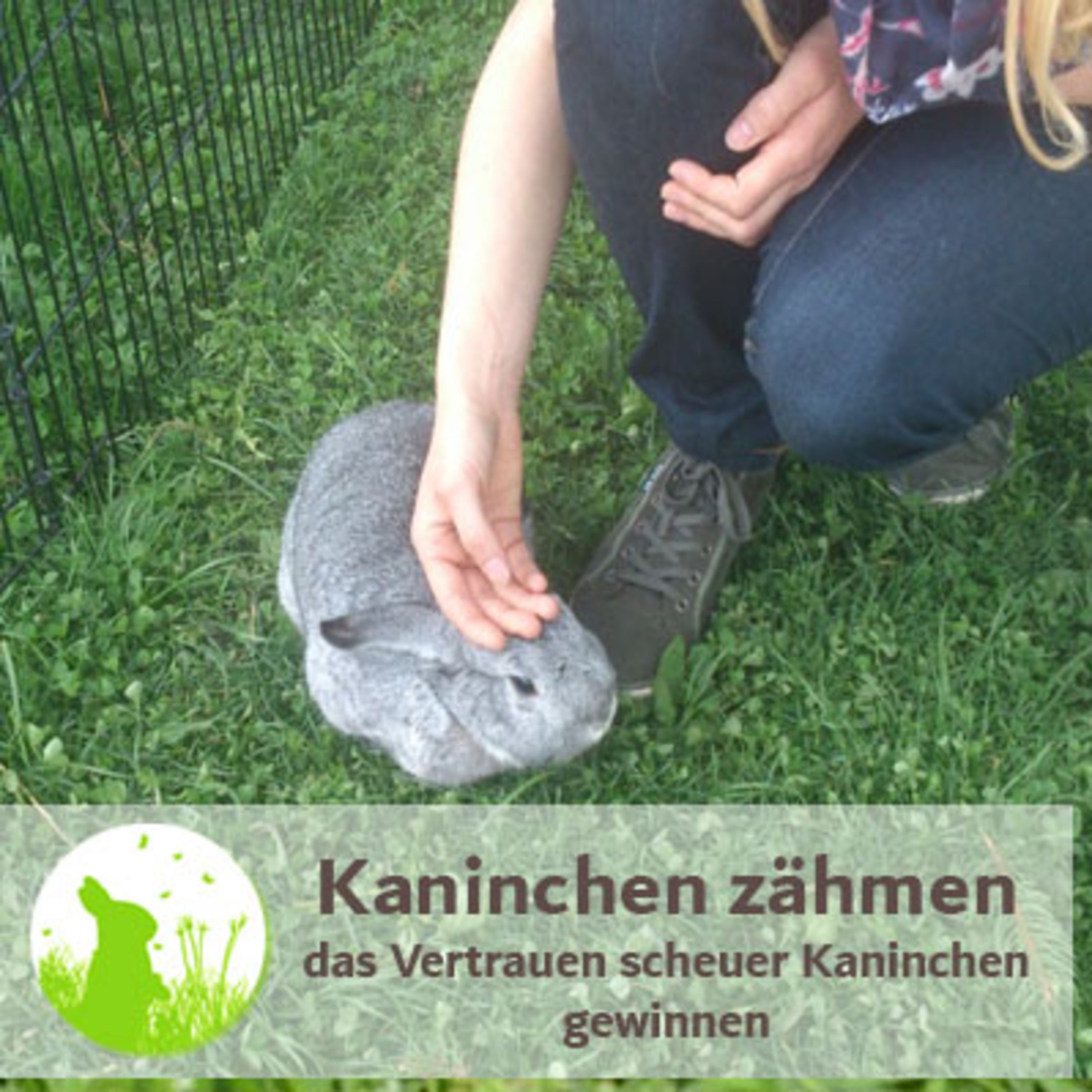 Das Geheimnis, damit Deine Kaninchen Dich mögen