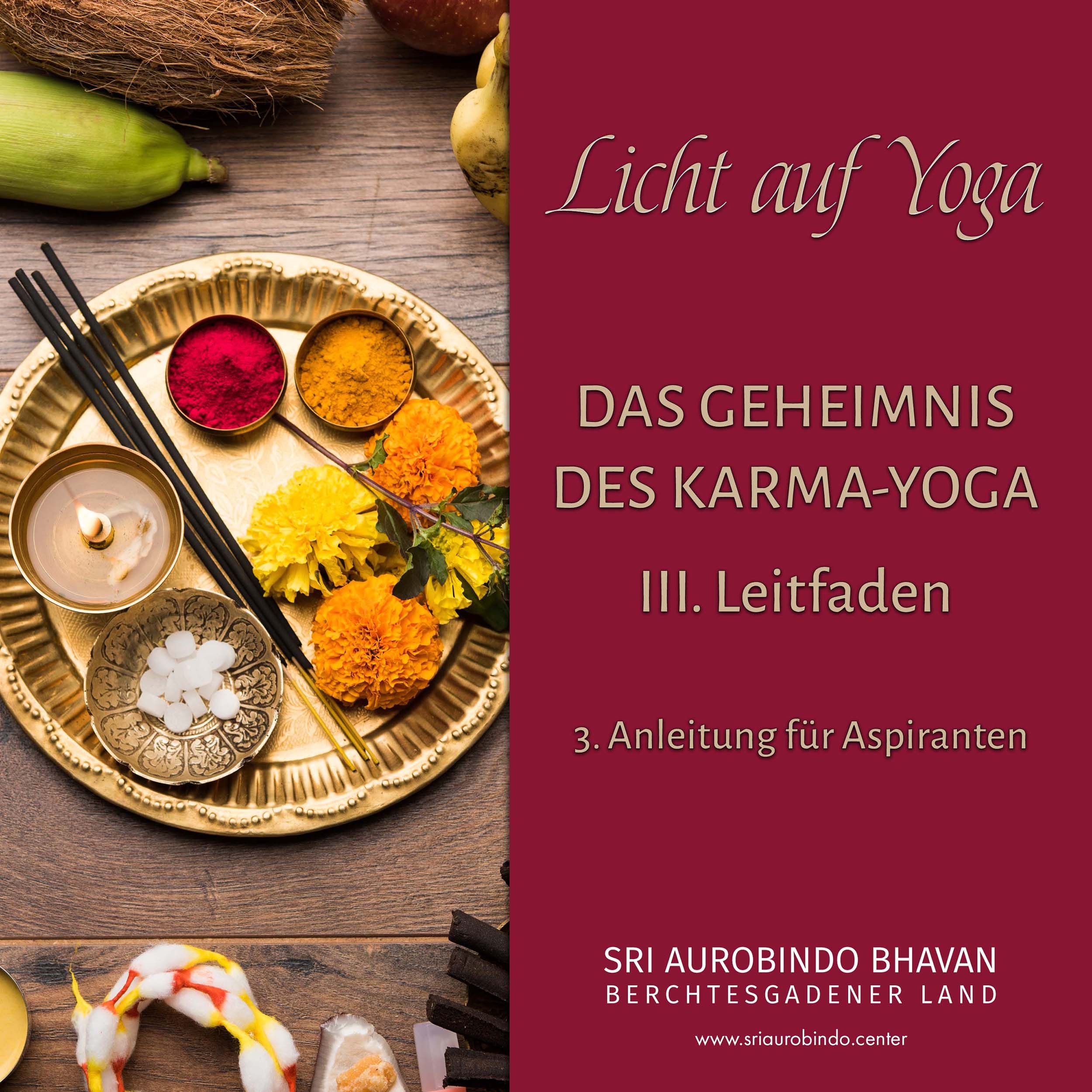 Das Geheimnis des Karma-Yoga (11)