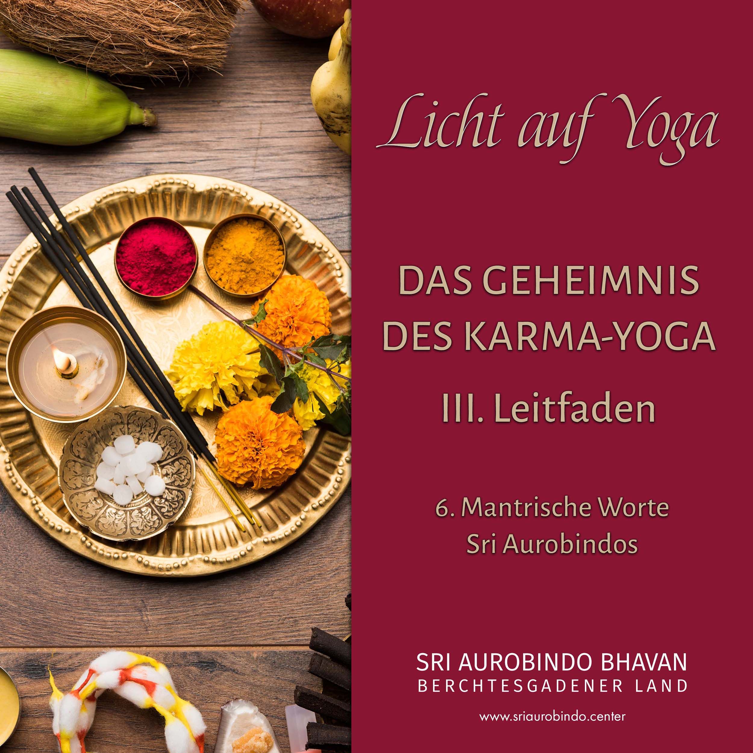 Das Geheimnis des Karma-Yoga (14)