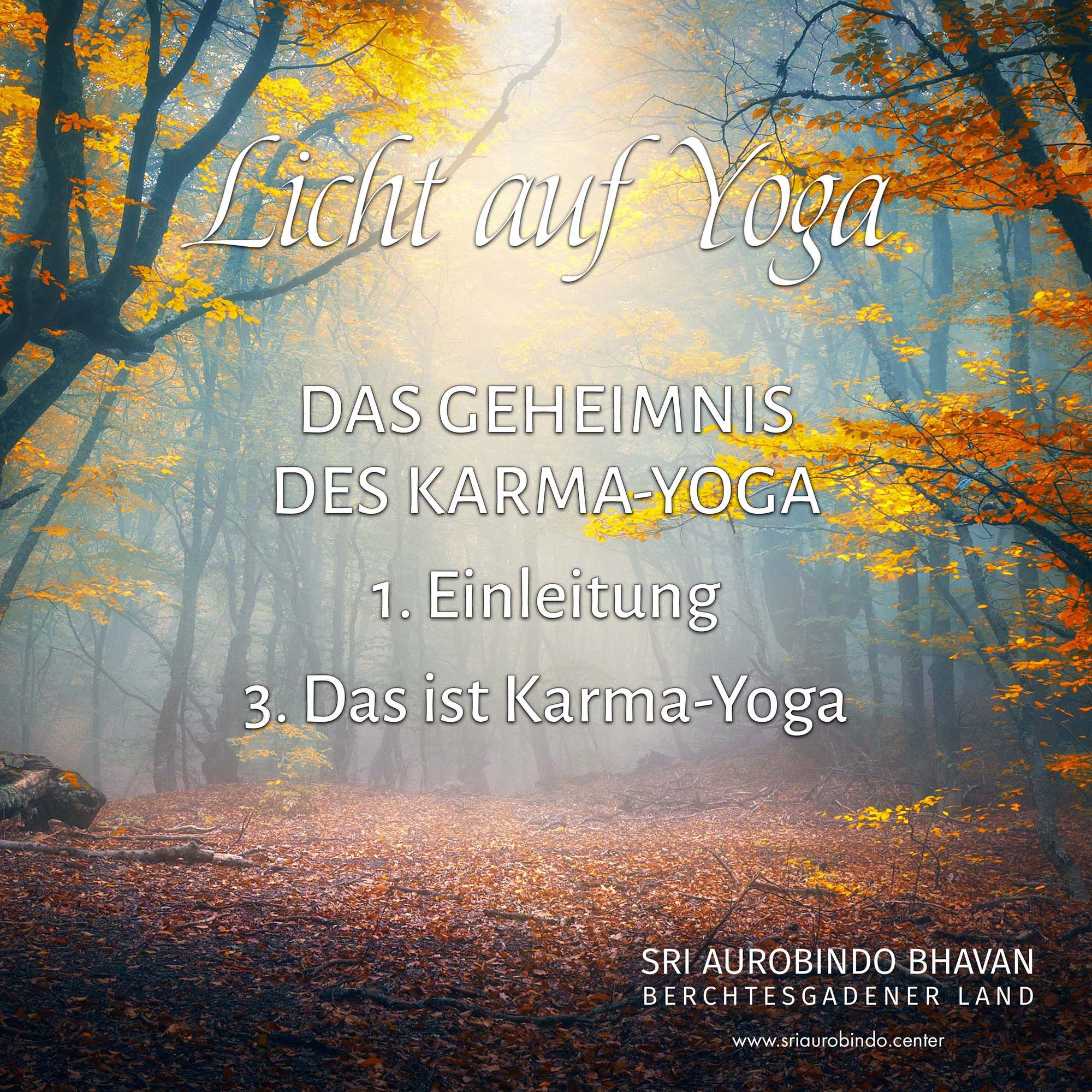 Das Geheimnis des Karma-Yoga (3)