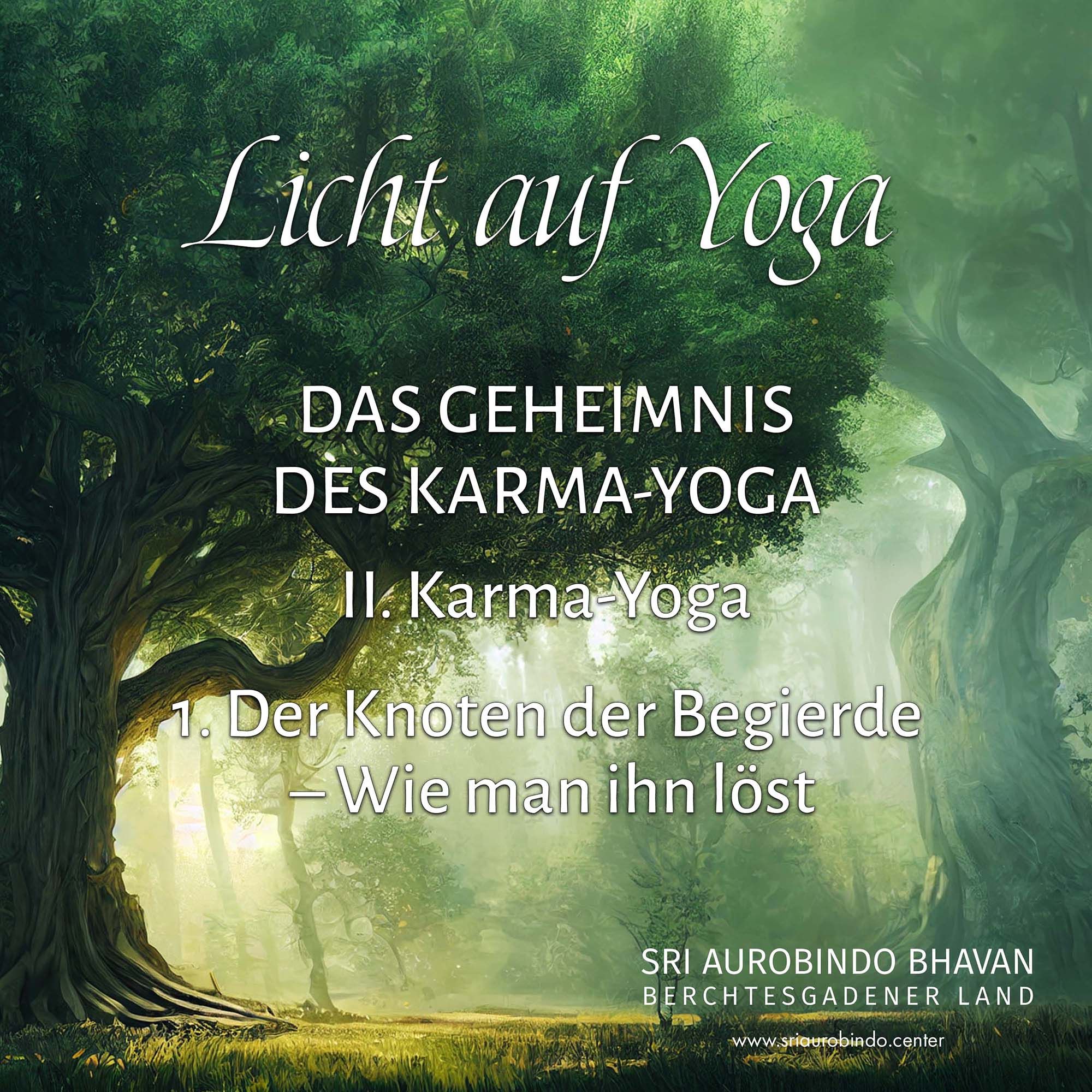 Das Geheimnis des Karma-Yoga (4)