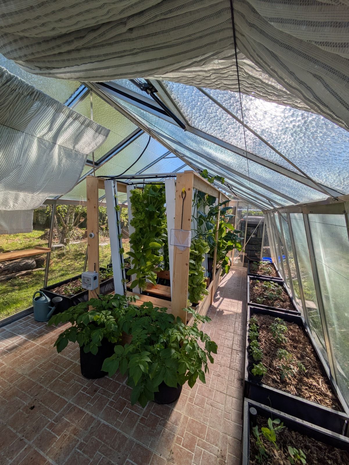 Das Gewächshaus 2.0: Ernten mit App, Fisch & Verstand