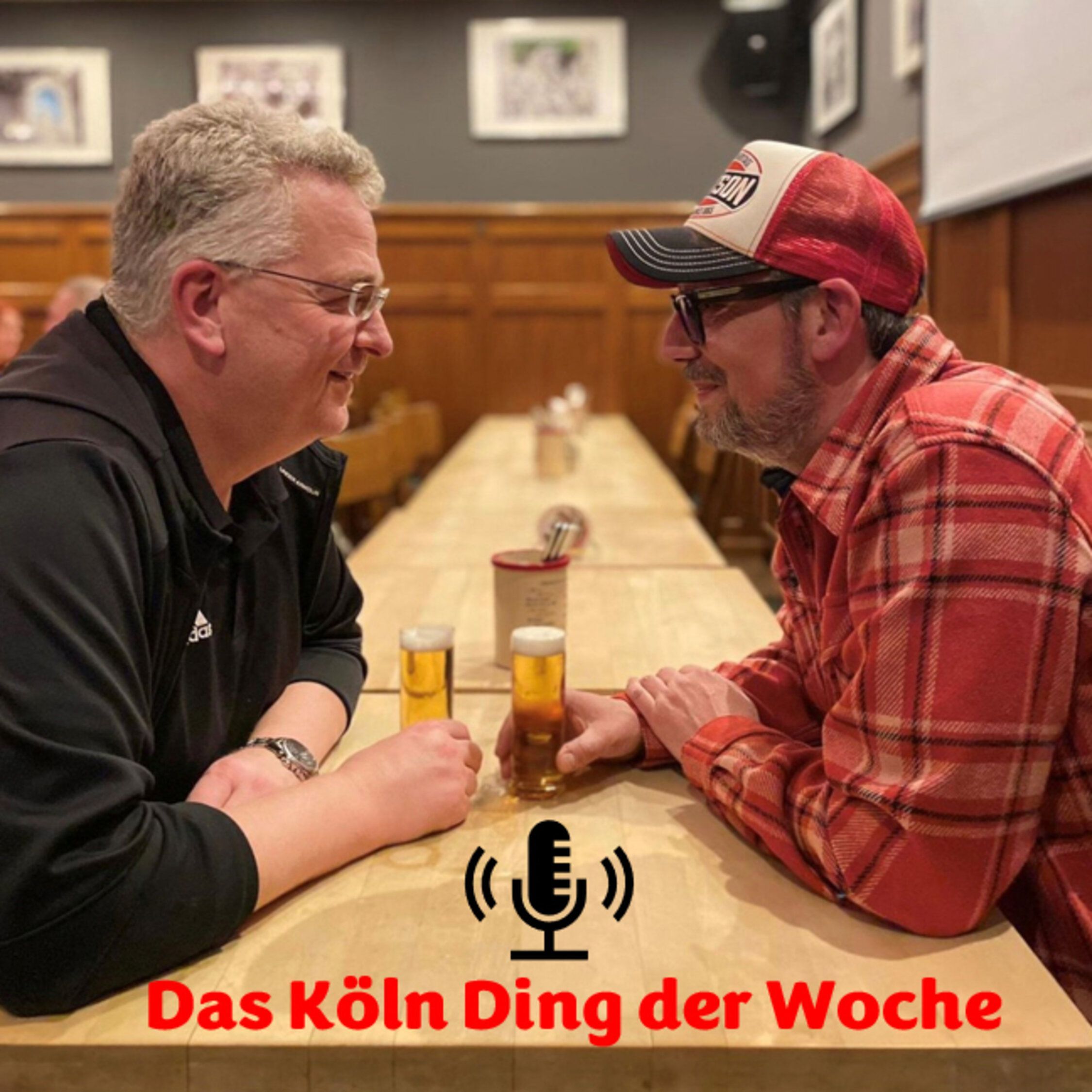Das Köln Ding der Woche - Kölsche Schimpfworte