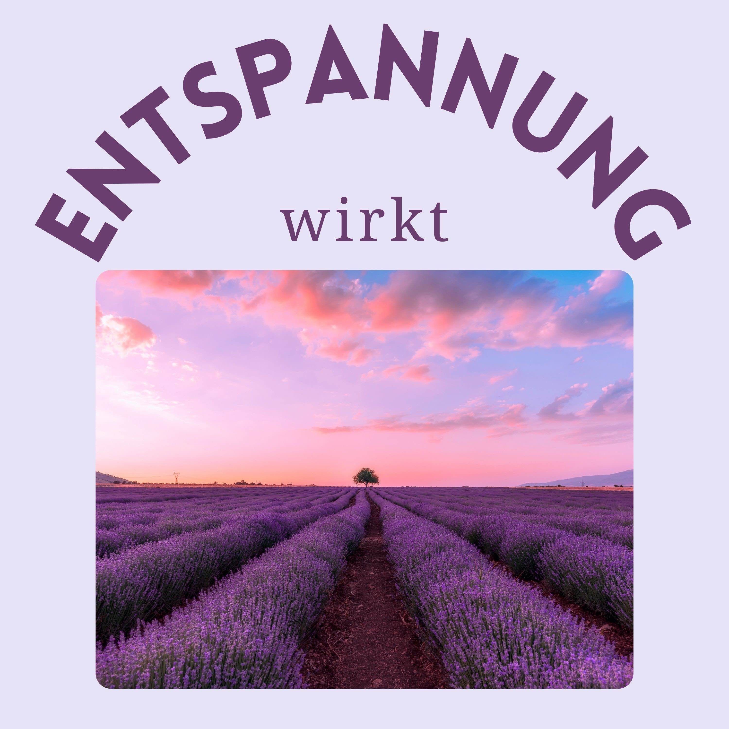 Das Lavendeldorf – Deine Reise zu Entspannung und innerer Ruhe 🌿