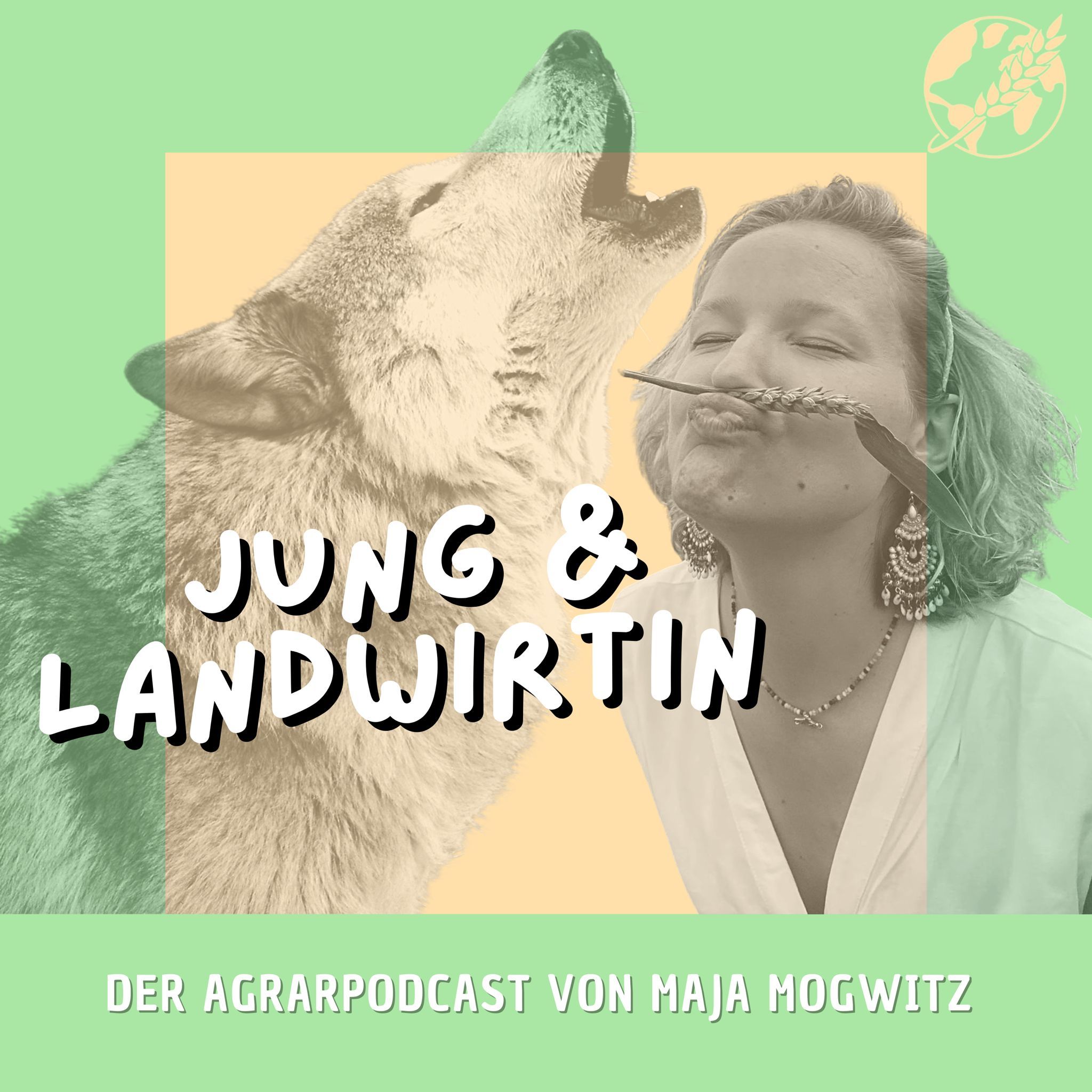 Das Schweigen der Lämmer - der Wolf