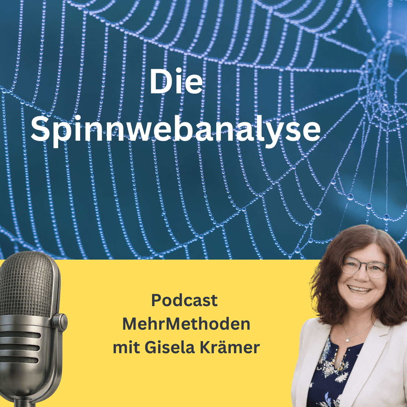 Das Spinnennetz der Erkenntnis – Die Spinnwebanalyse