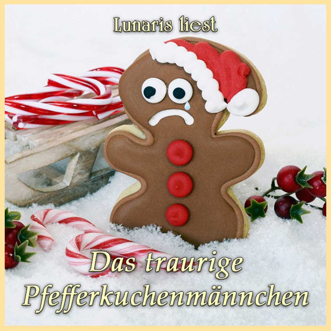Das traurige Pfefferkuchenmännchen - Ein märchenhaftes Rezept - Weihnachtsspecial | Lunaris liest