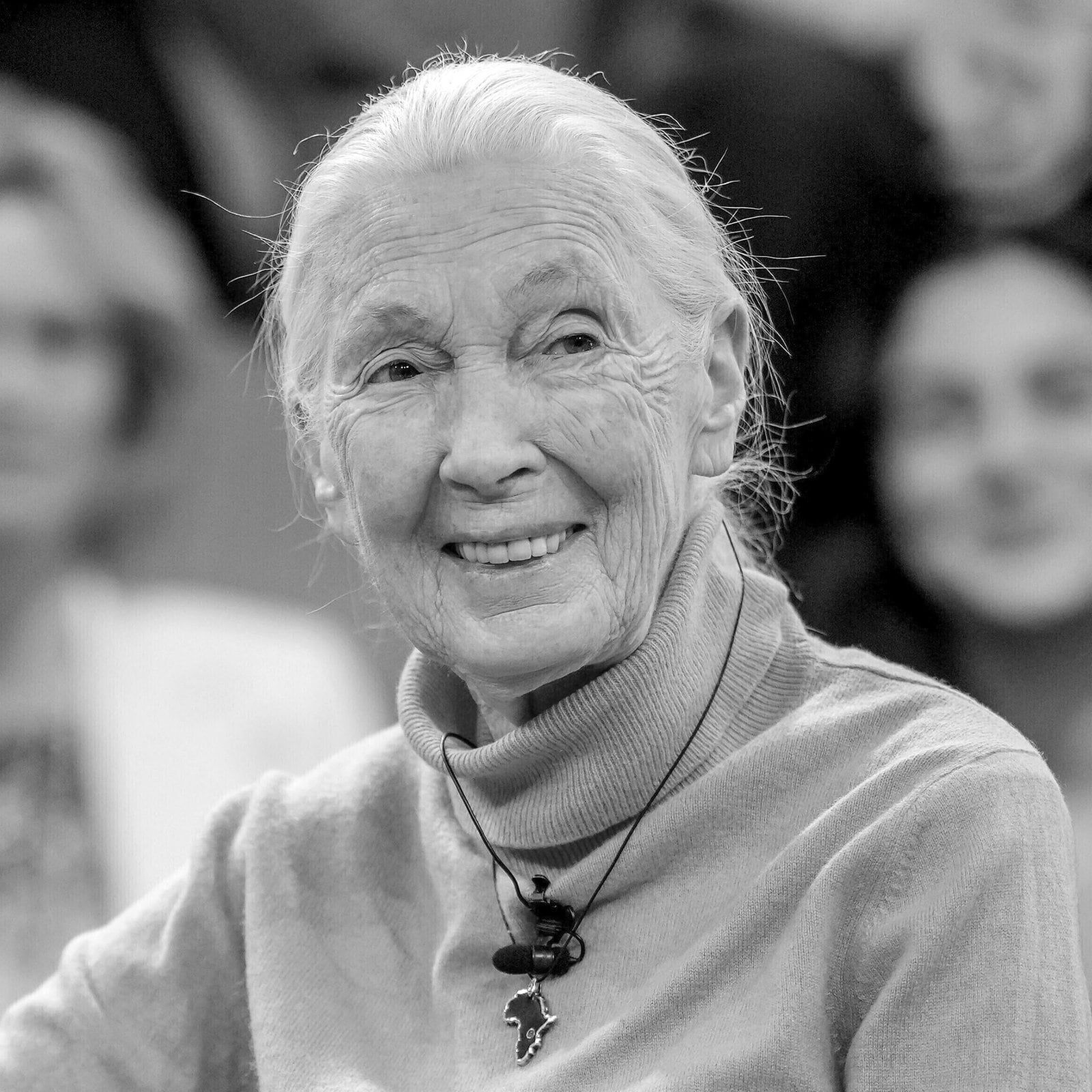 Das Vermächtnis von Primatenforscherin Jane Goodall