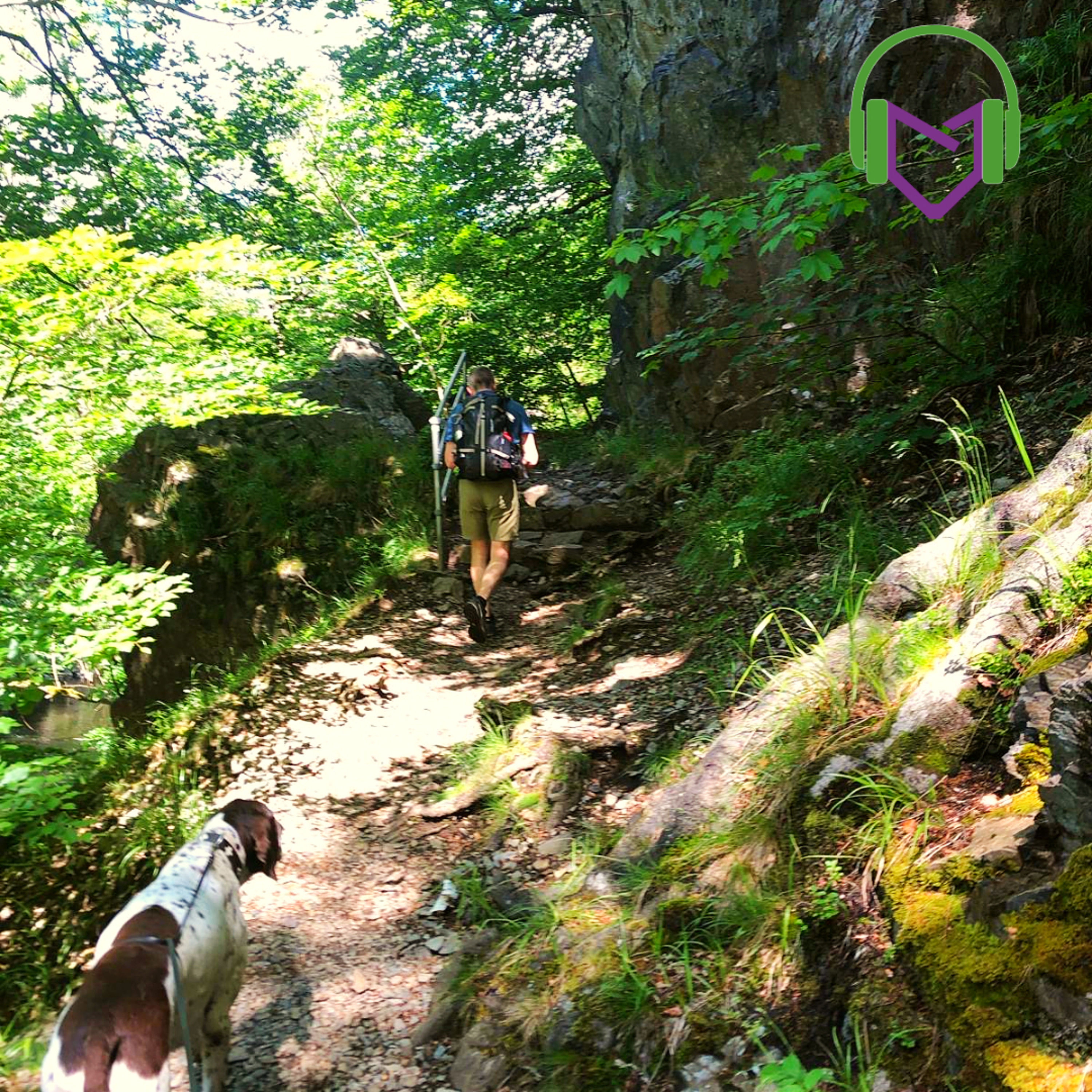 Das Wandern ist des Wolfshofs Lust - Rudel Talk #02