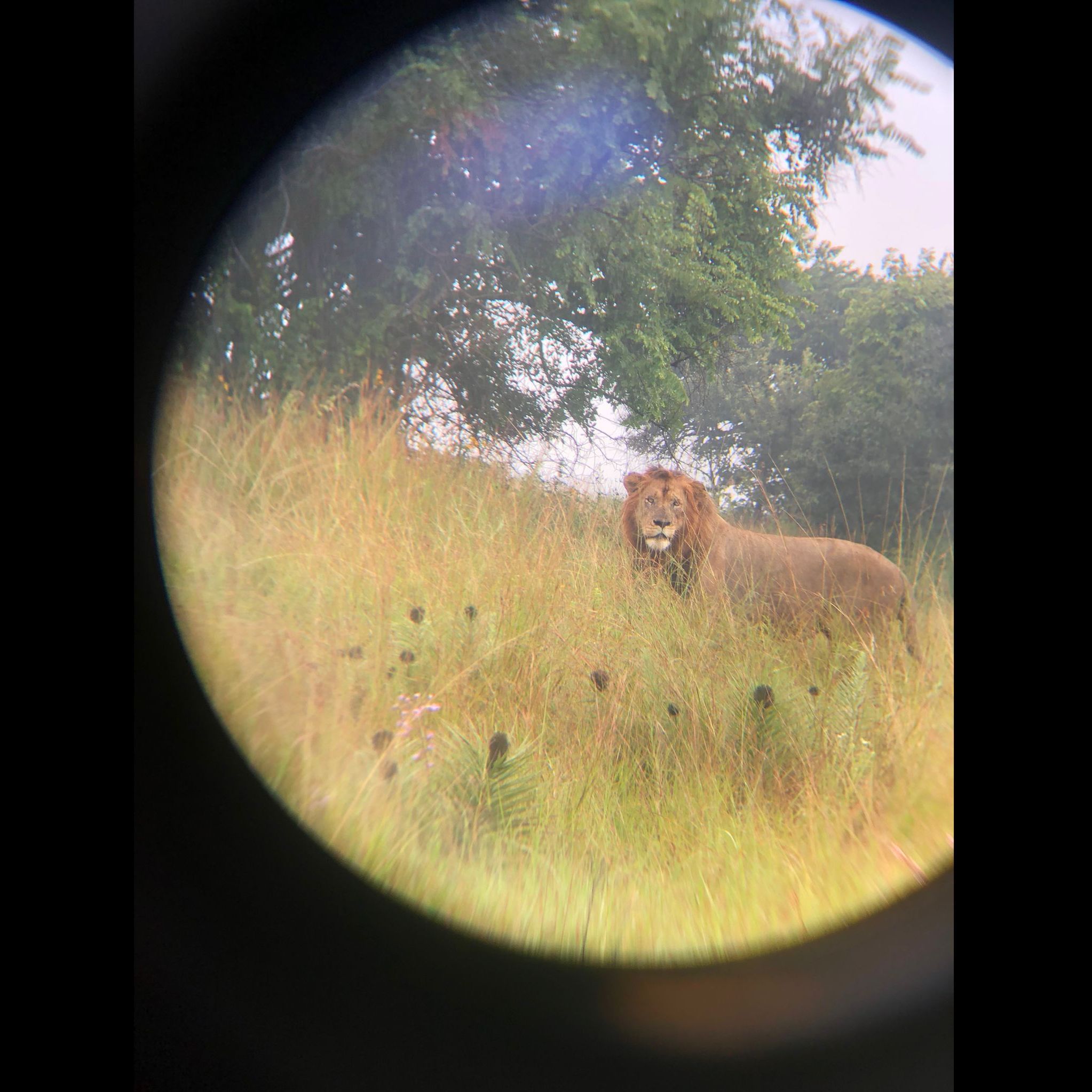 Das, was wir ansehen, prägt uns