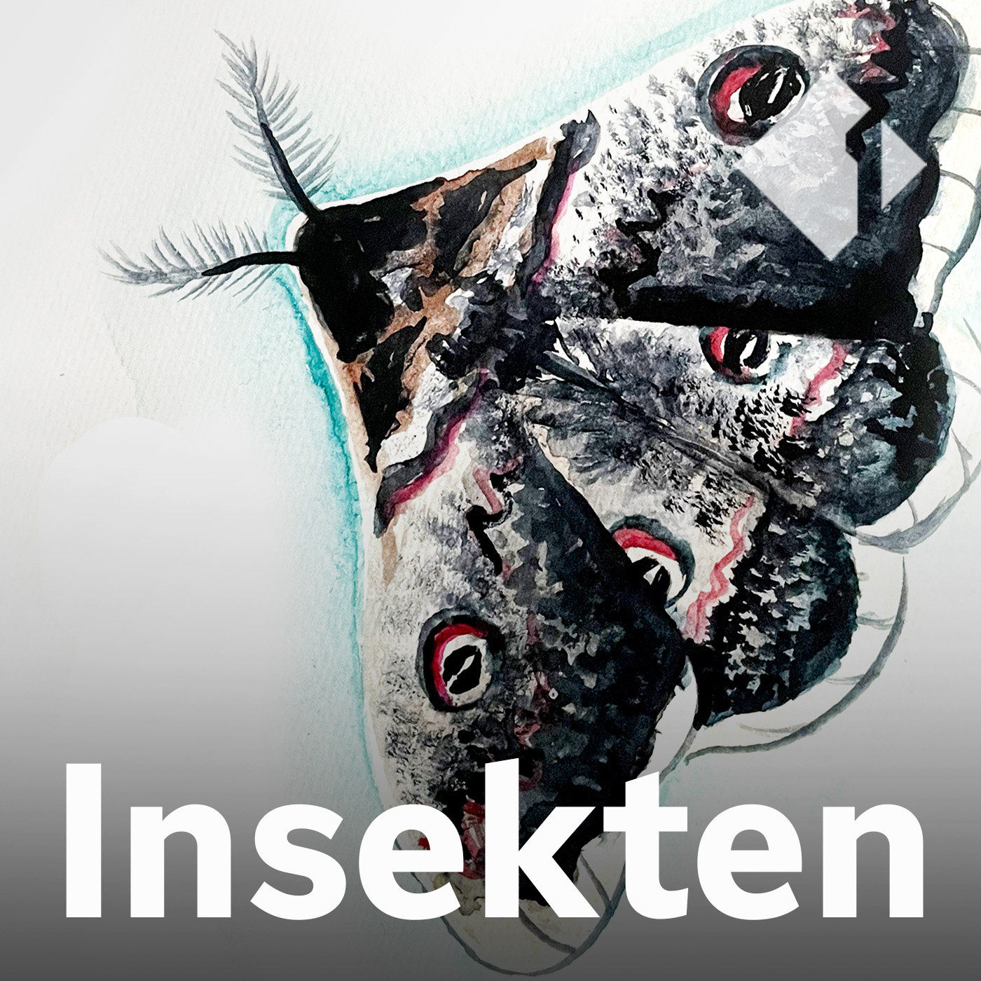 Das Wiener Nachtpfauenauge