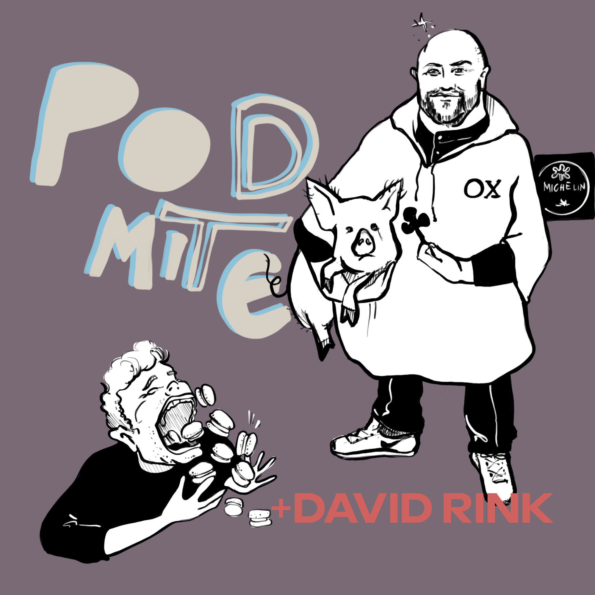 David Rink - Bringt den Stern nach Darmstadt