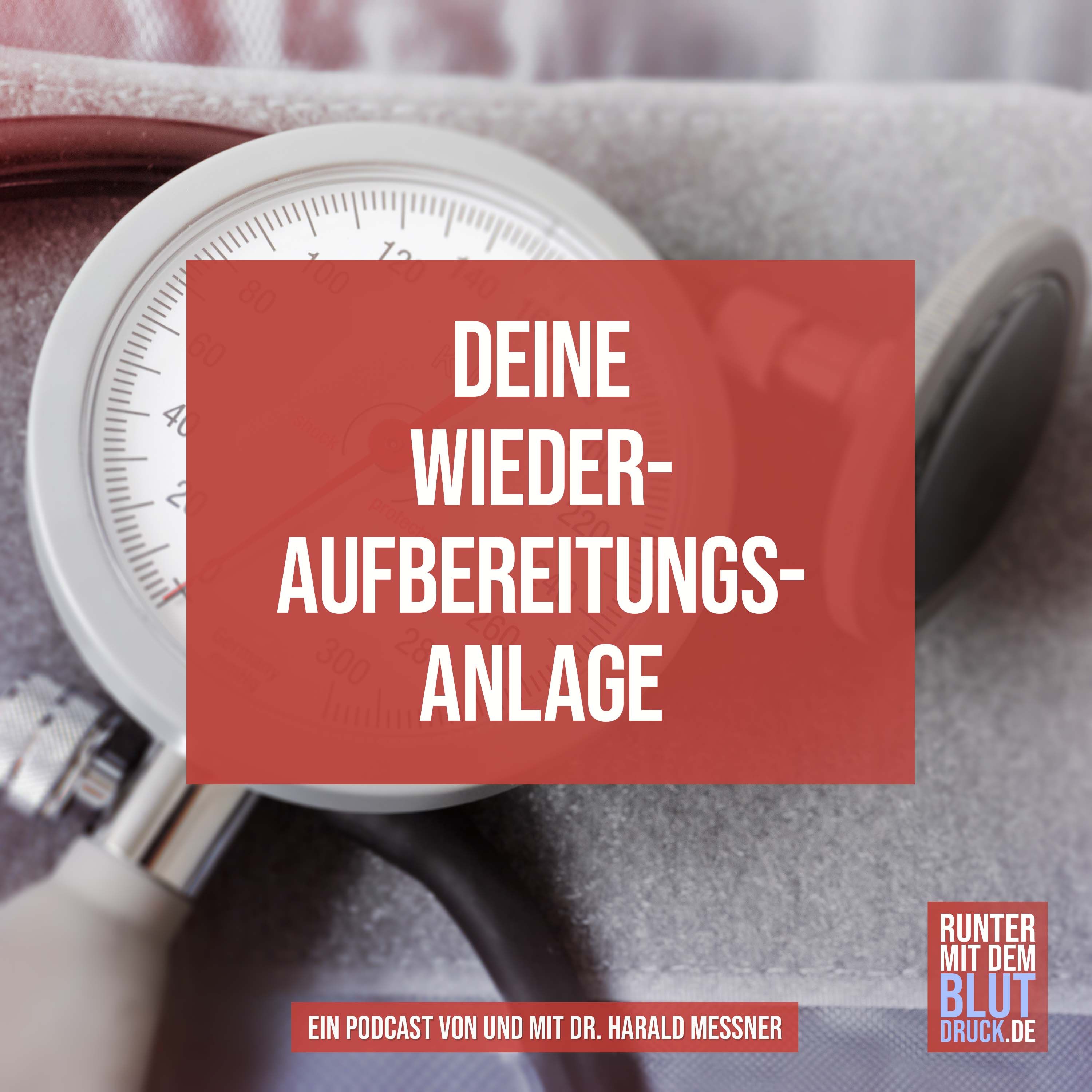 Deine Wiederaufbereitungsanlage