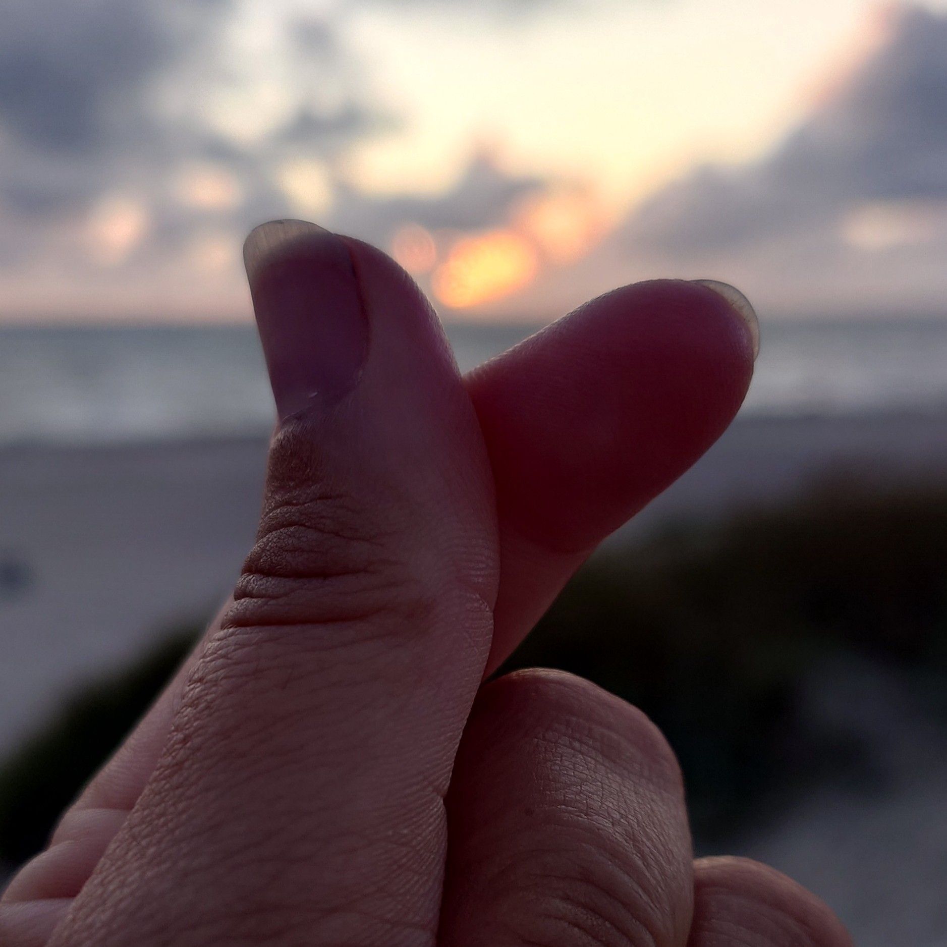 Den Wald vor lauter Bäumen nicht sehen