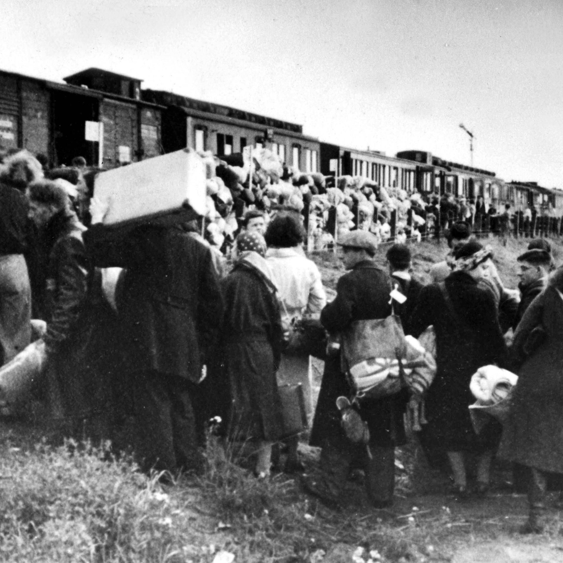 Der 8. Mai (2/6) - Niederlande - Wunden, Wut und späte Selbstkritik