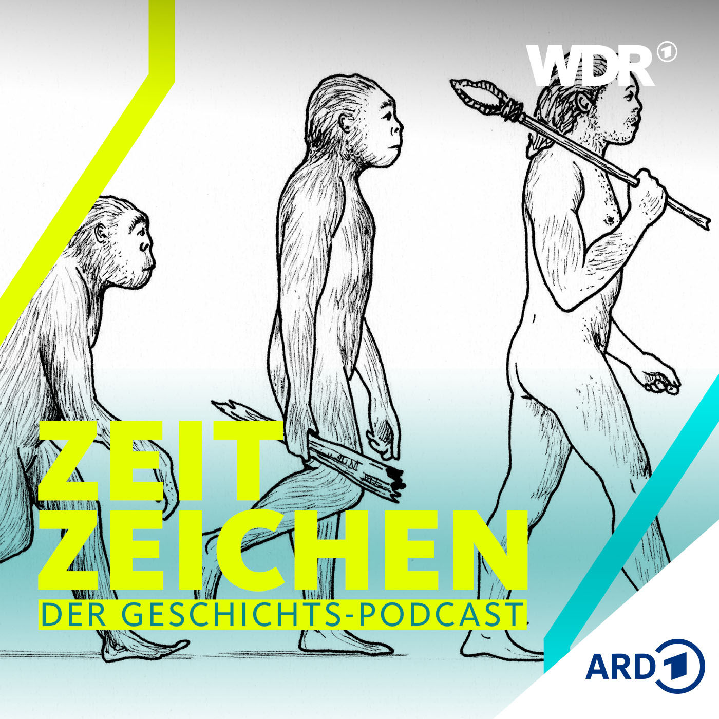 Der "Affenprozess": Als die Evolution zur Glaubensfrage wurde