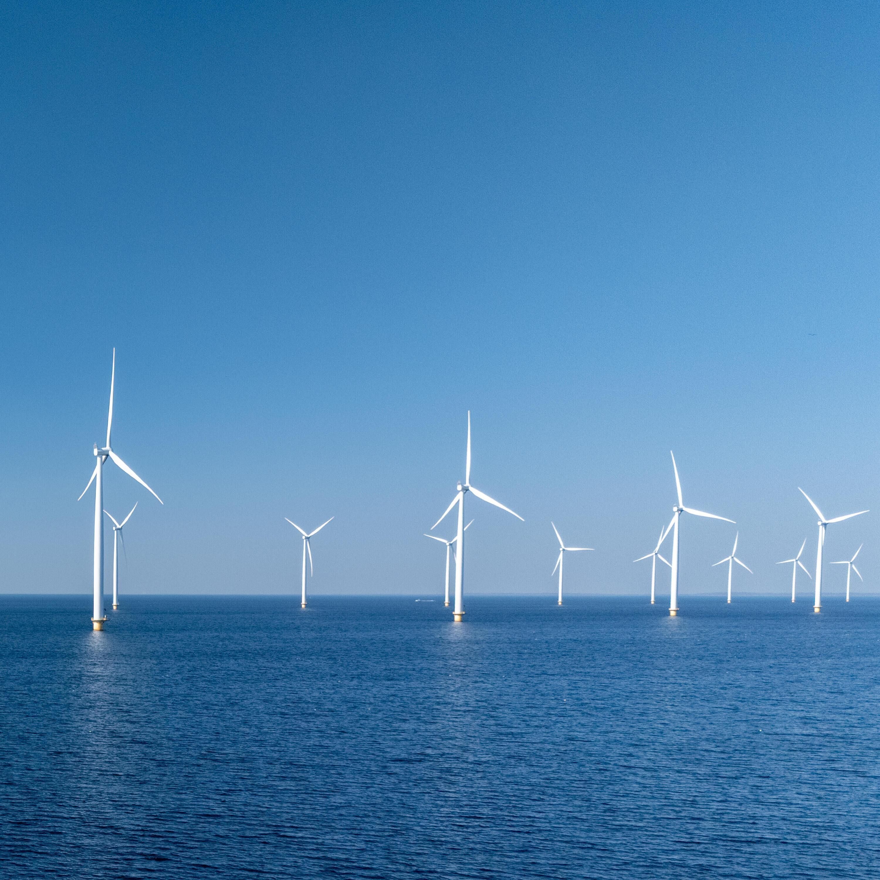 "Der Bau von Offshore-Windparks rechnet sich nicht mehr" - Karina Würtz (Stiftung Offshore)