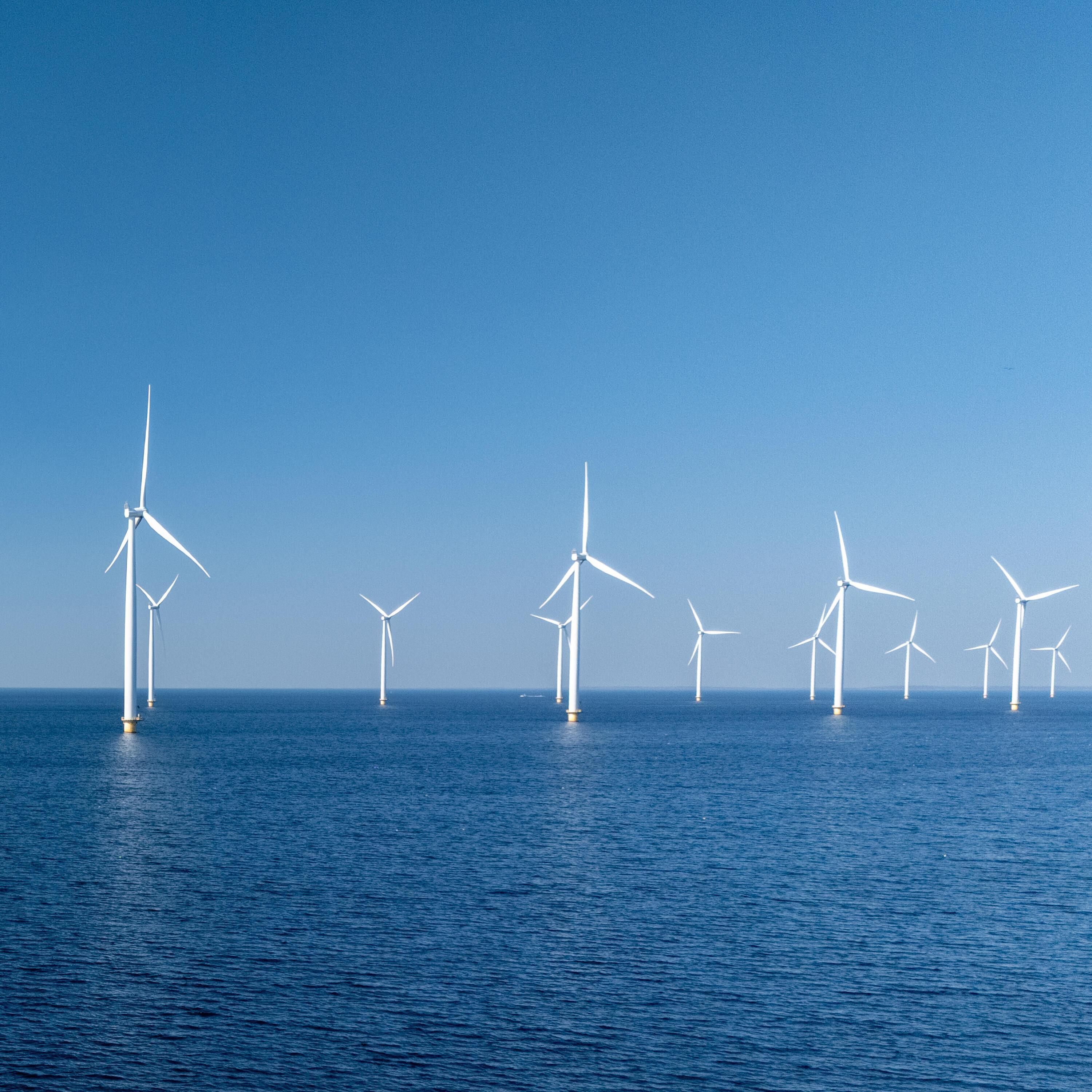 "Der Bau von Windparks auf See rechnet sich nicht mehr" - Karina Würtz (Klima-Labor)